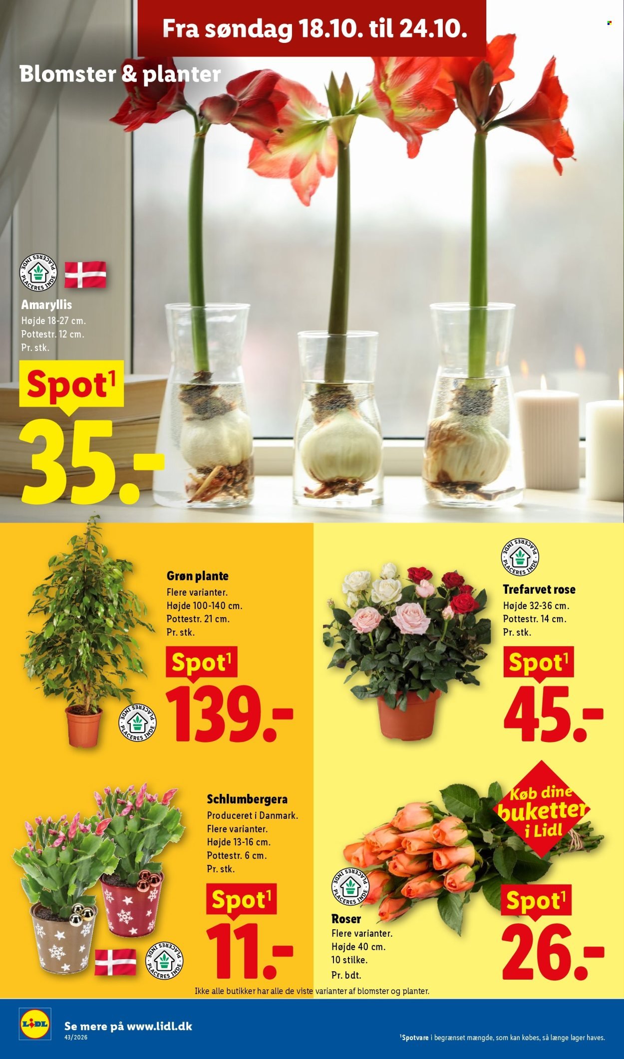 LIDL tilbudsavis - Fra søndag den 18. oktober 2026