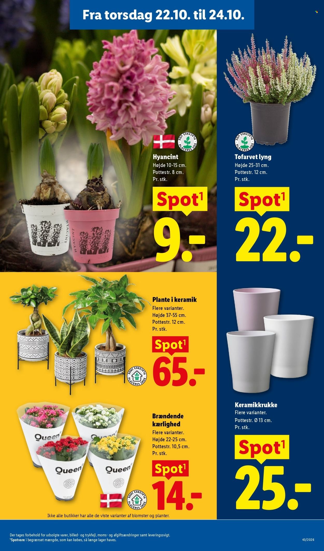 LIDL tilbudsavis - Fra søndag den 18. oktober 2026