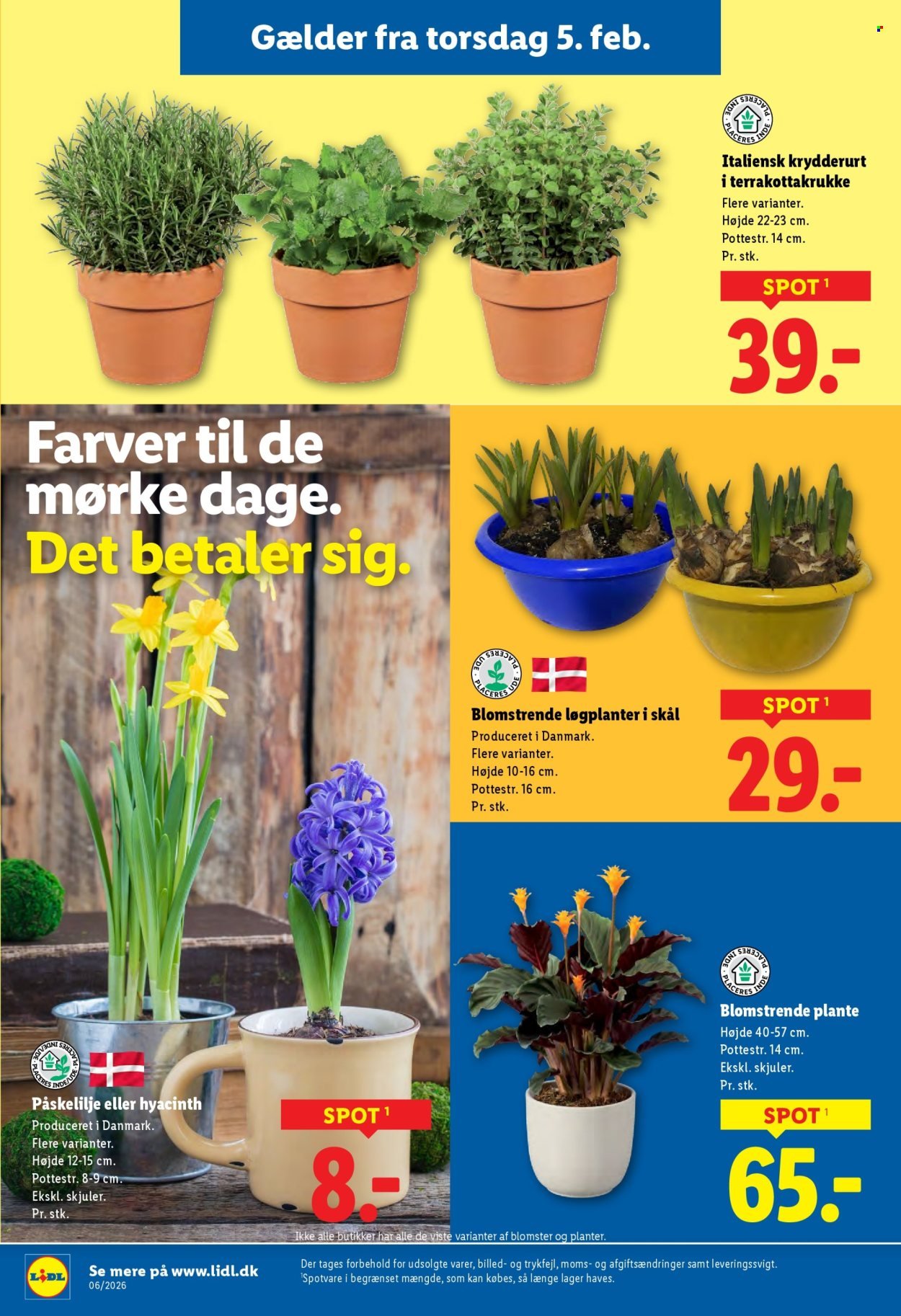 LIDL tilbudsavis - Fra søndag den 1. februar 2026