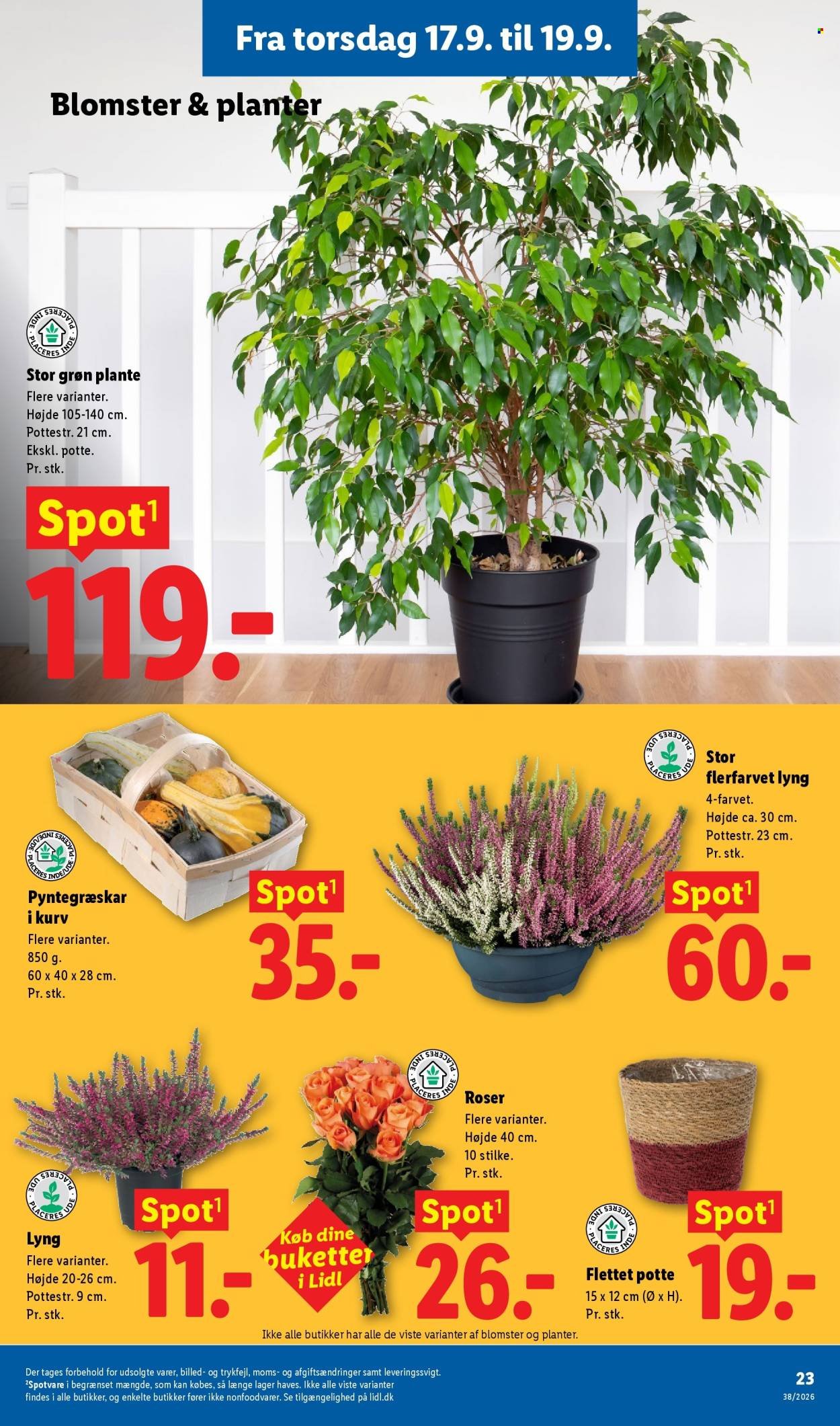 LIDL tilbudsavis - Ugens Nonfood