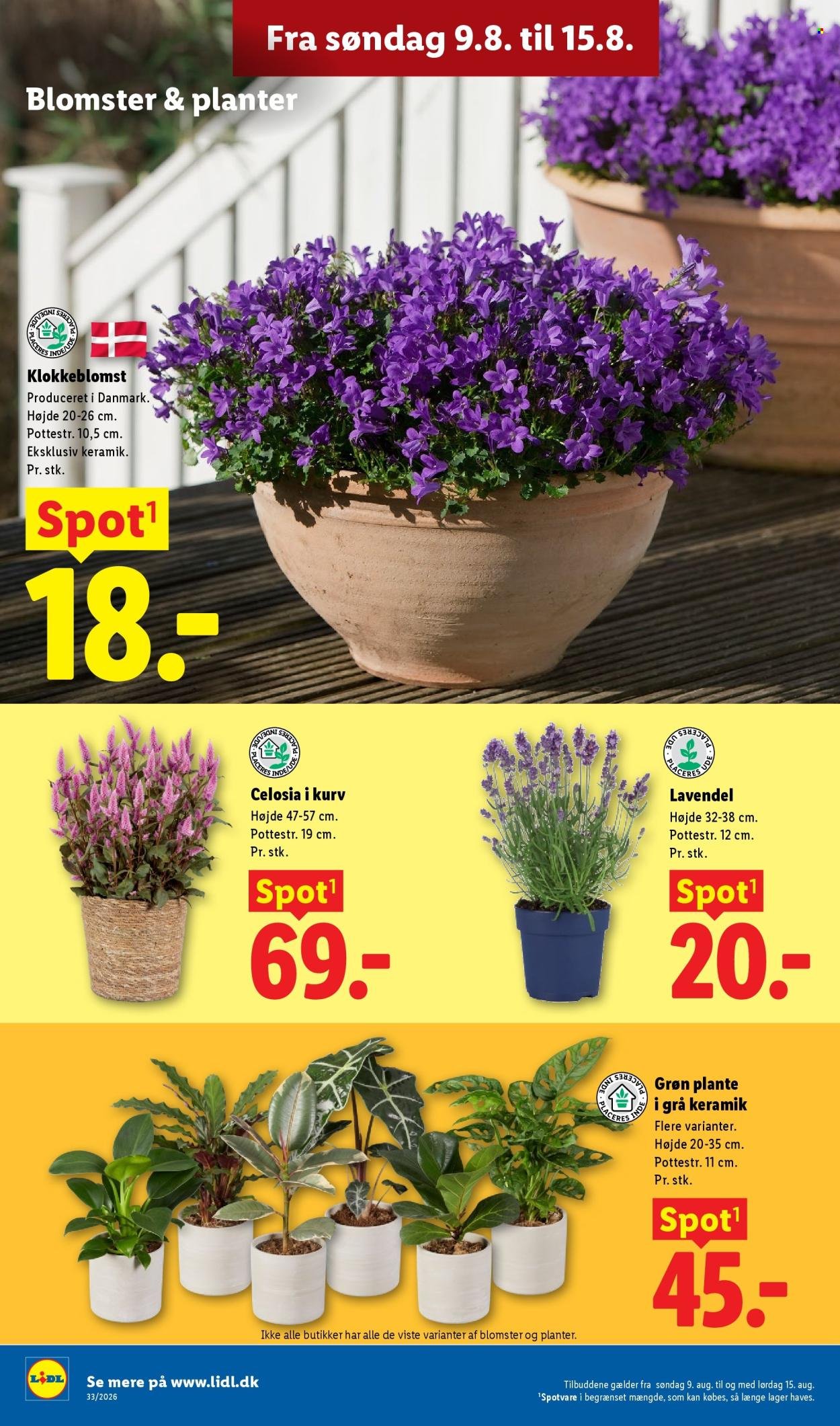 LIDL tilbudsavis - Fra søndag den 9. august 2026