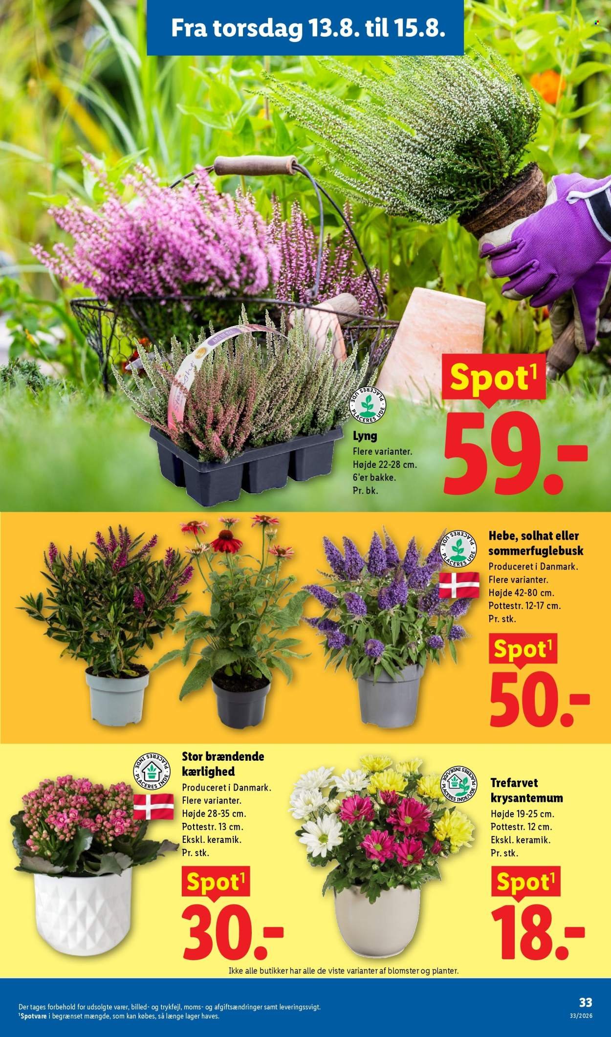 LIDL tilbudsavis - Fra søndag den 9. august 2026