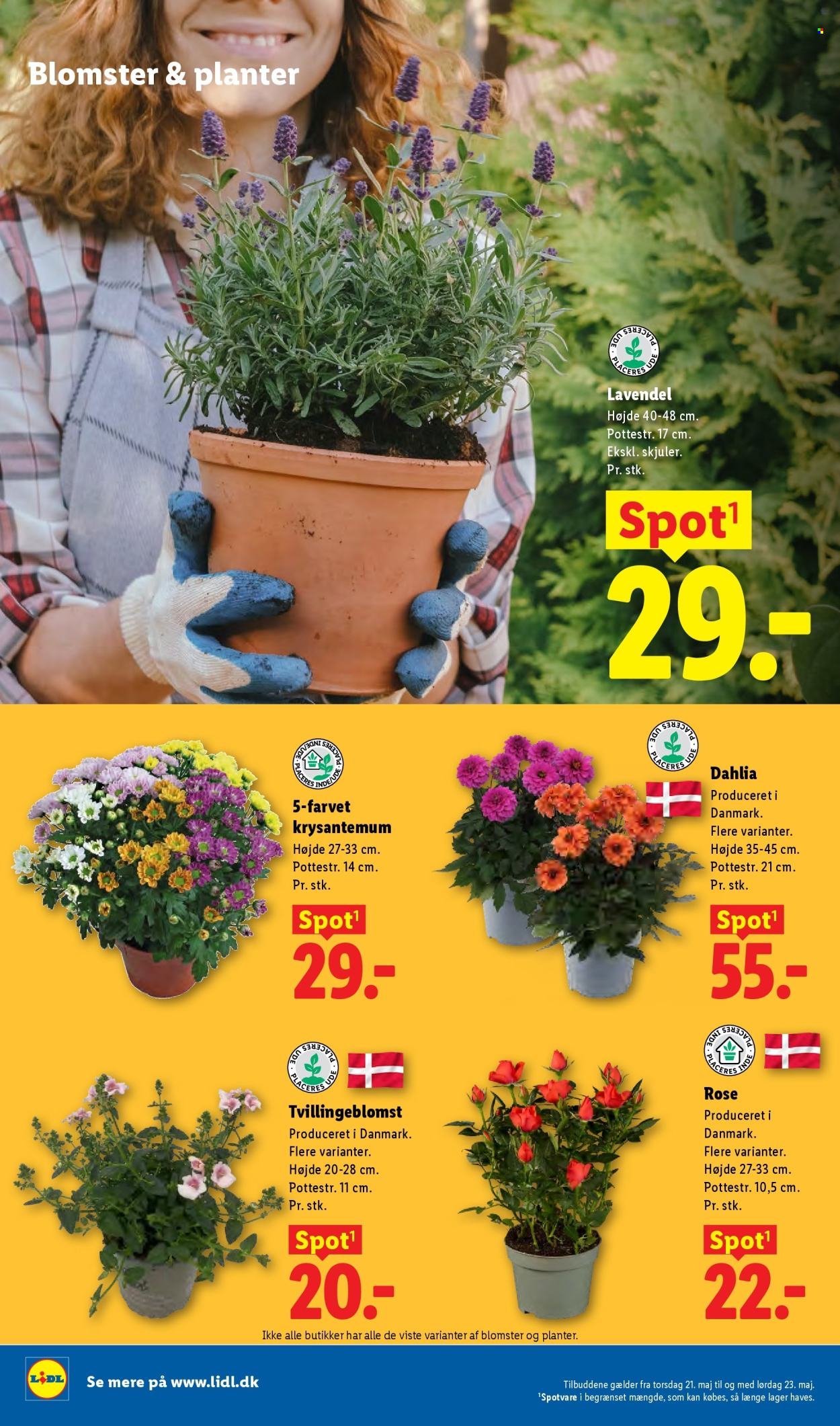 LIDL tilbudsavis - Fra søndag den 17. maj 2026 (2026-05-17 - 2026-05-23)