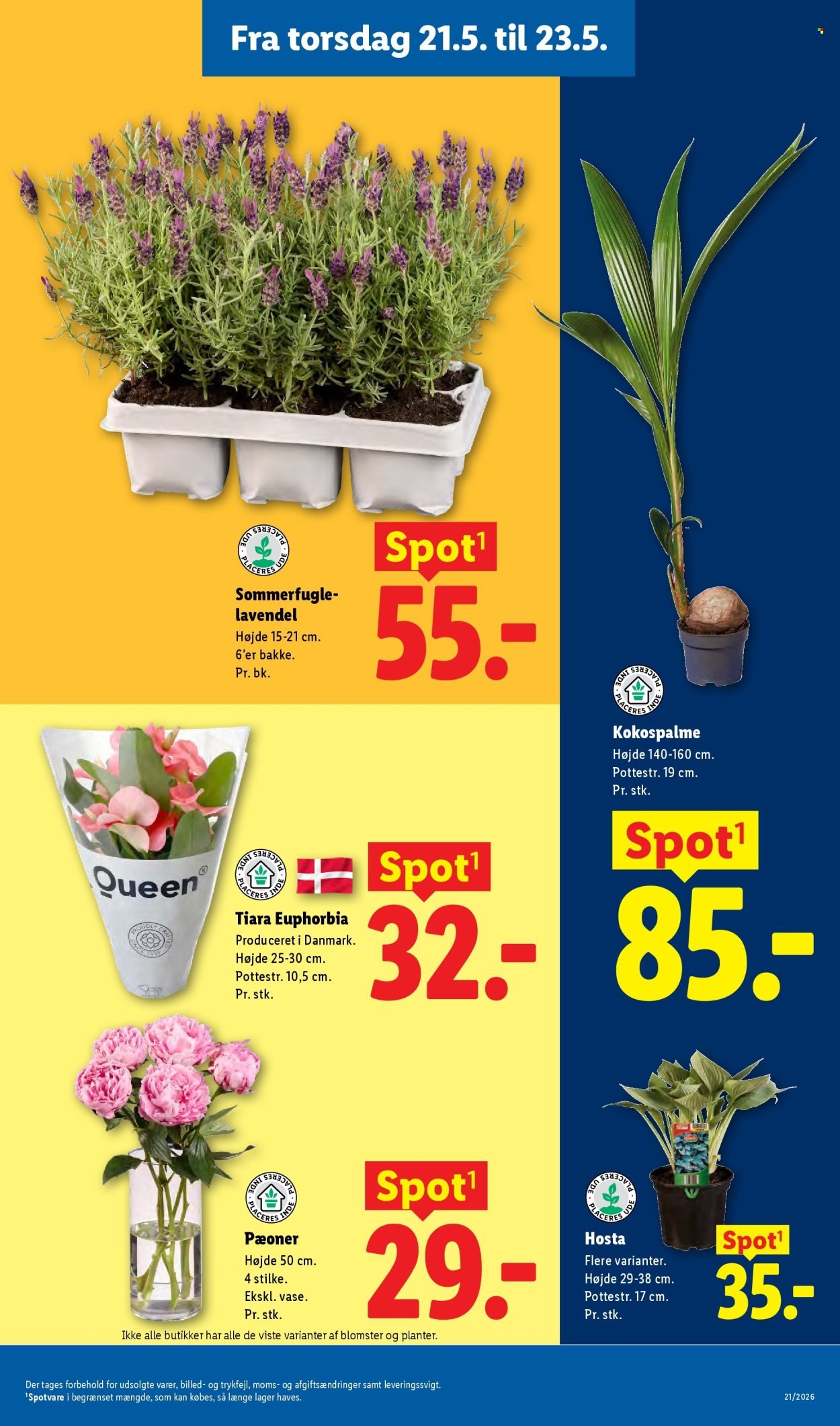 LIDL tilbudsavis - Fra søndag den 17. maj 2026 (2026-05-17 - 2026-05-23)