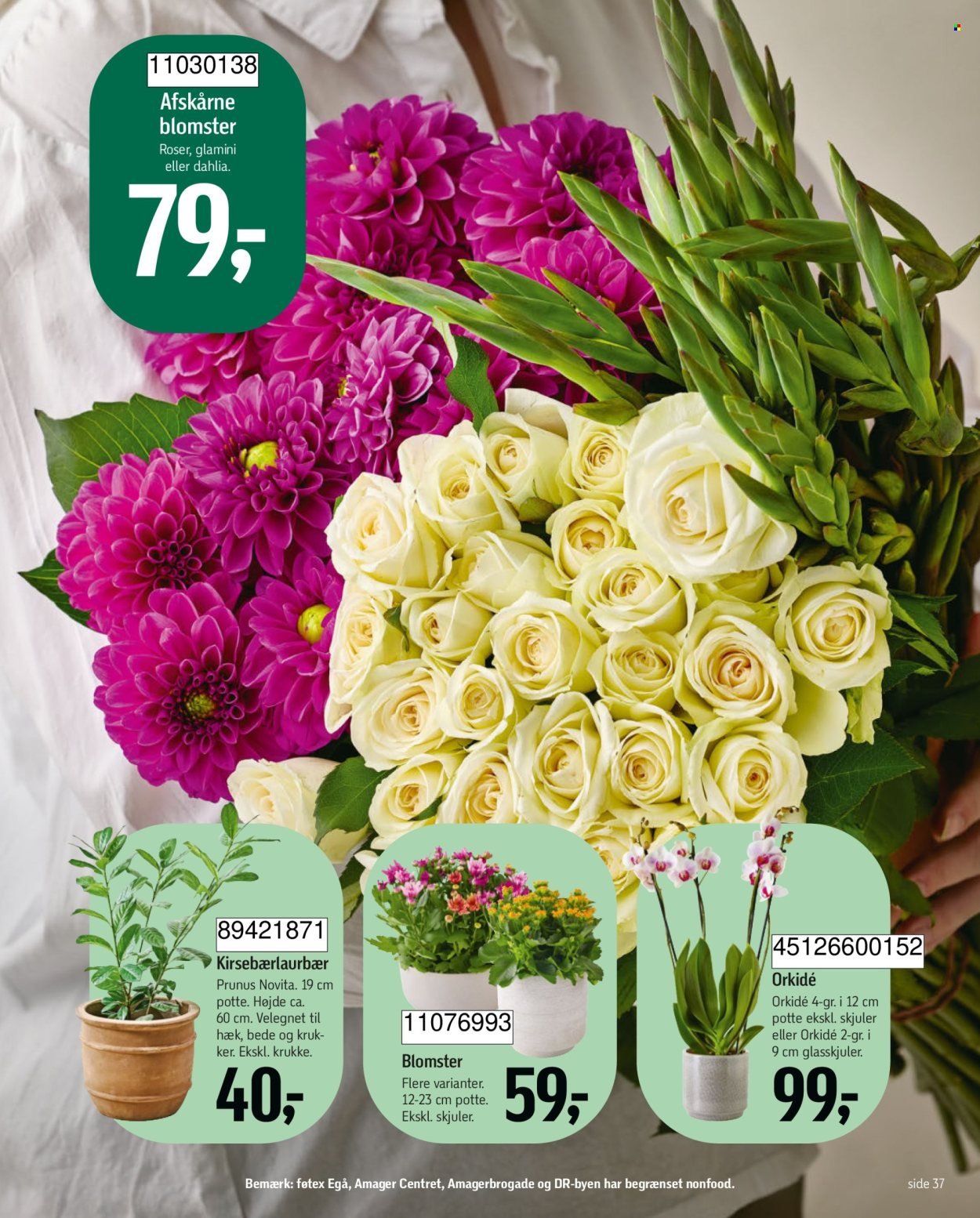 FØTEX tilbudsavis - Fra fredag den 11. september 2026