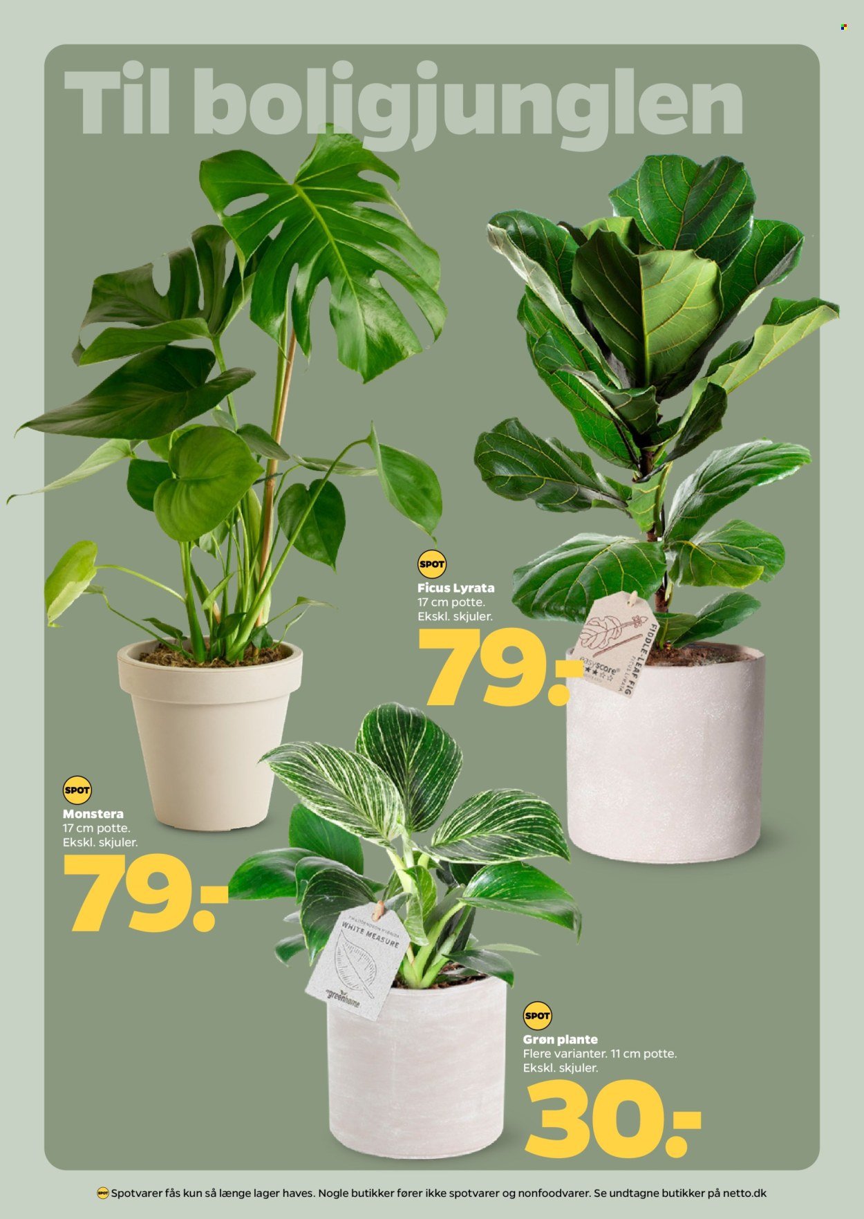 NETTO tilbudsavis - Fra lørdag den 17. januar 2026 (2026-01-17 - 2026-01-23)