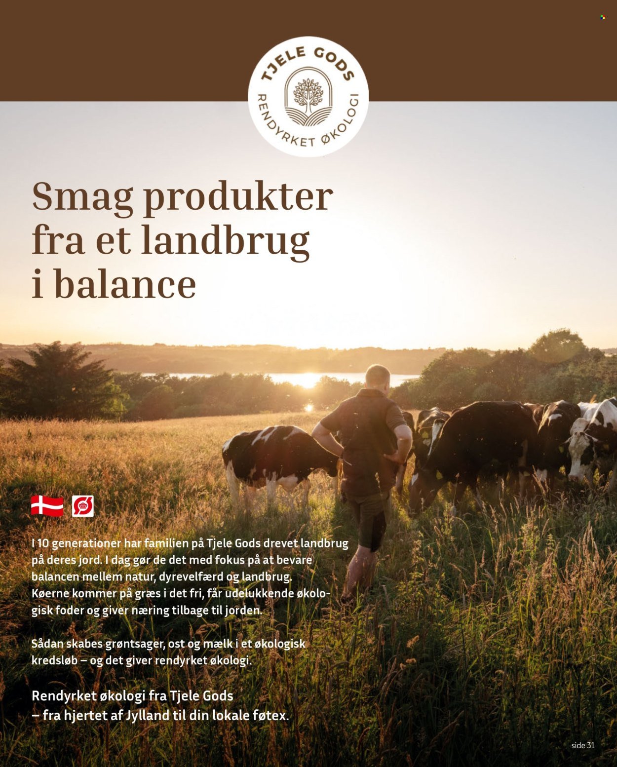 FØTEX tilbudsavis - Fra fredag den 26. juni 2026