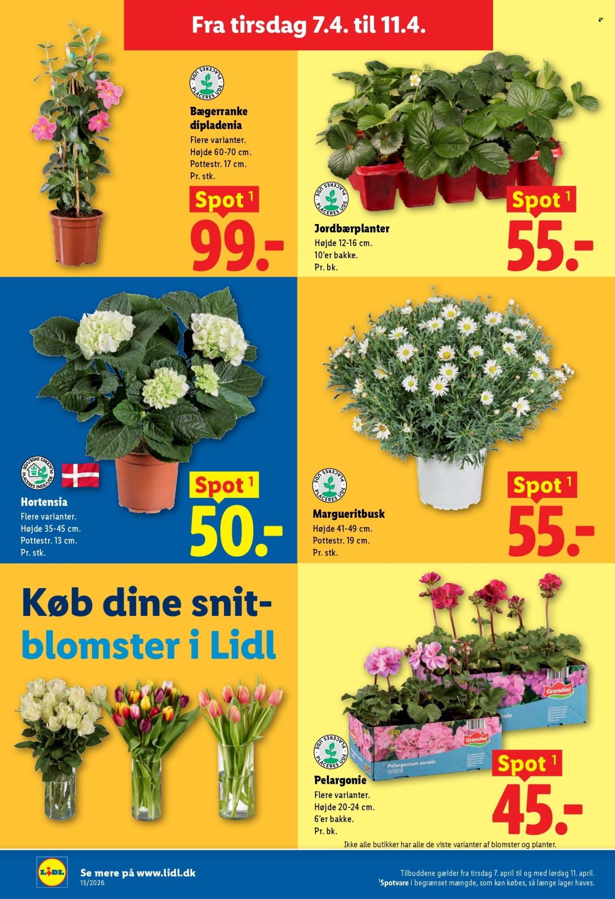 LIDL tilbudsavis - Fra tirsdag den 7. april 2026