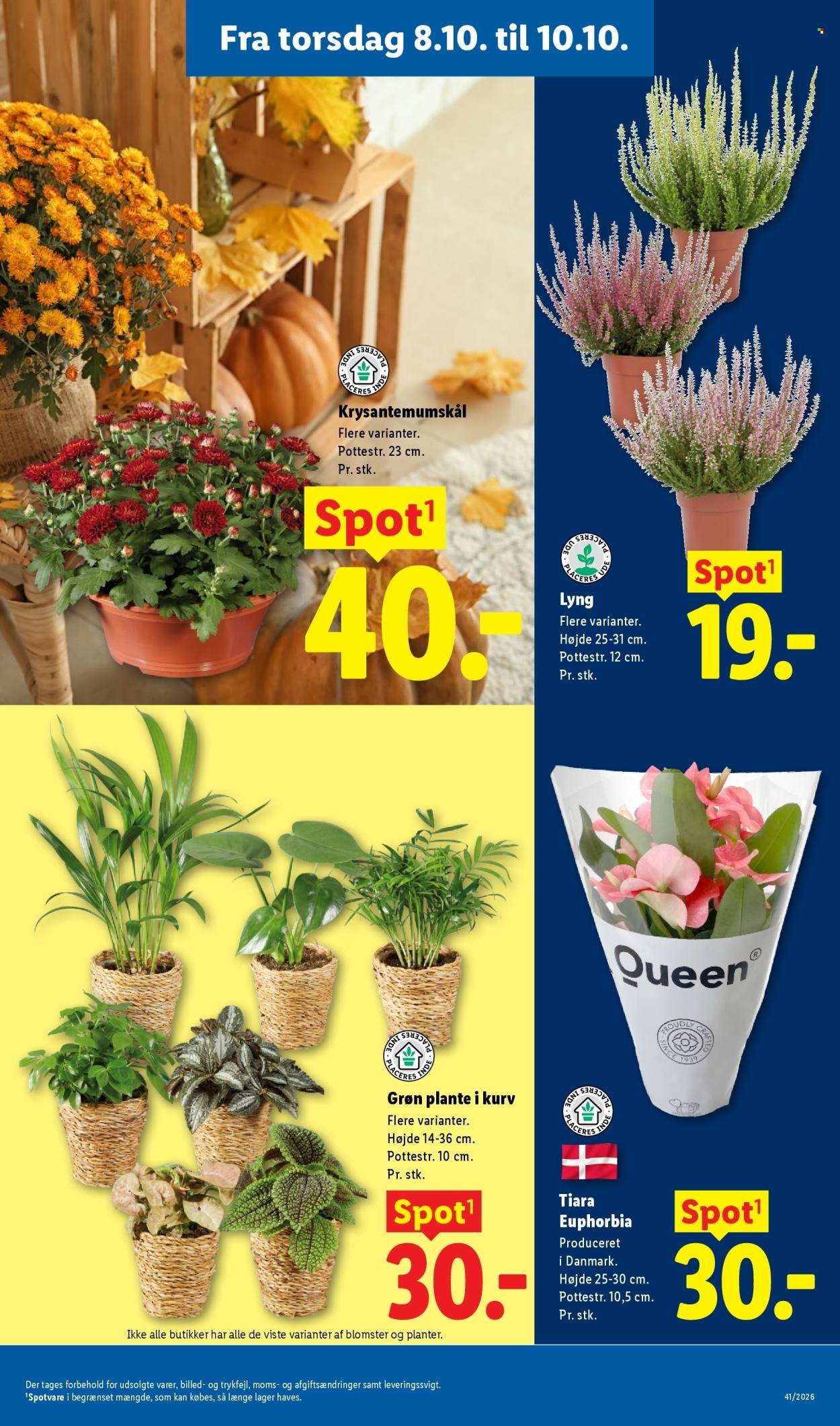 LIDL tilbudsavis - Fra søndag den 4. oktober 2026