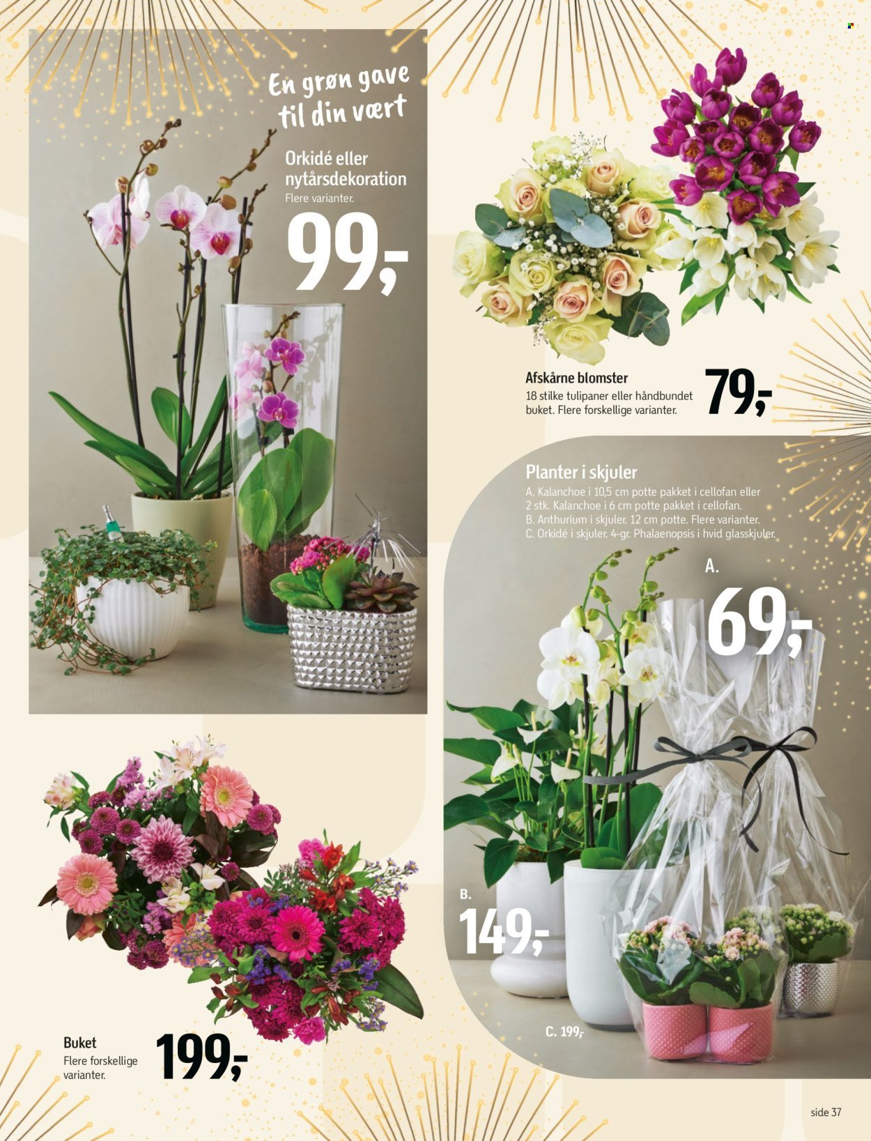 FØTEX tilbudsavis - Fra lørdag den 27. december 2025 (2025-12-27 - 2025-12-31)