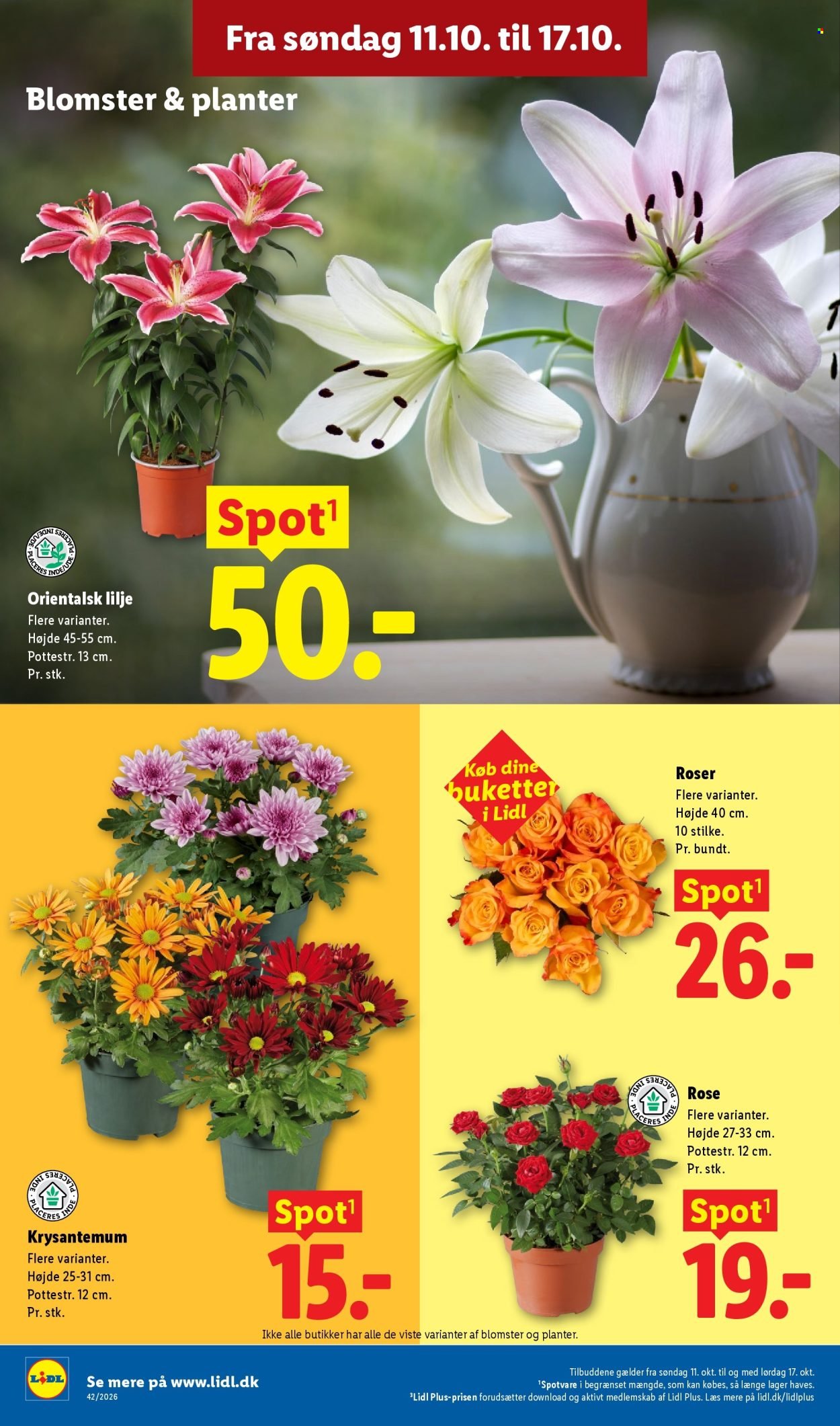 LIDL tilbudsavis - Fra søndag den 11. oktober 2026
