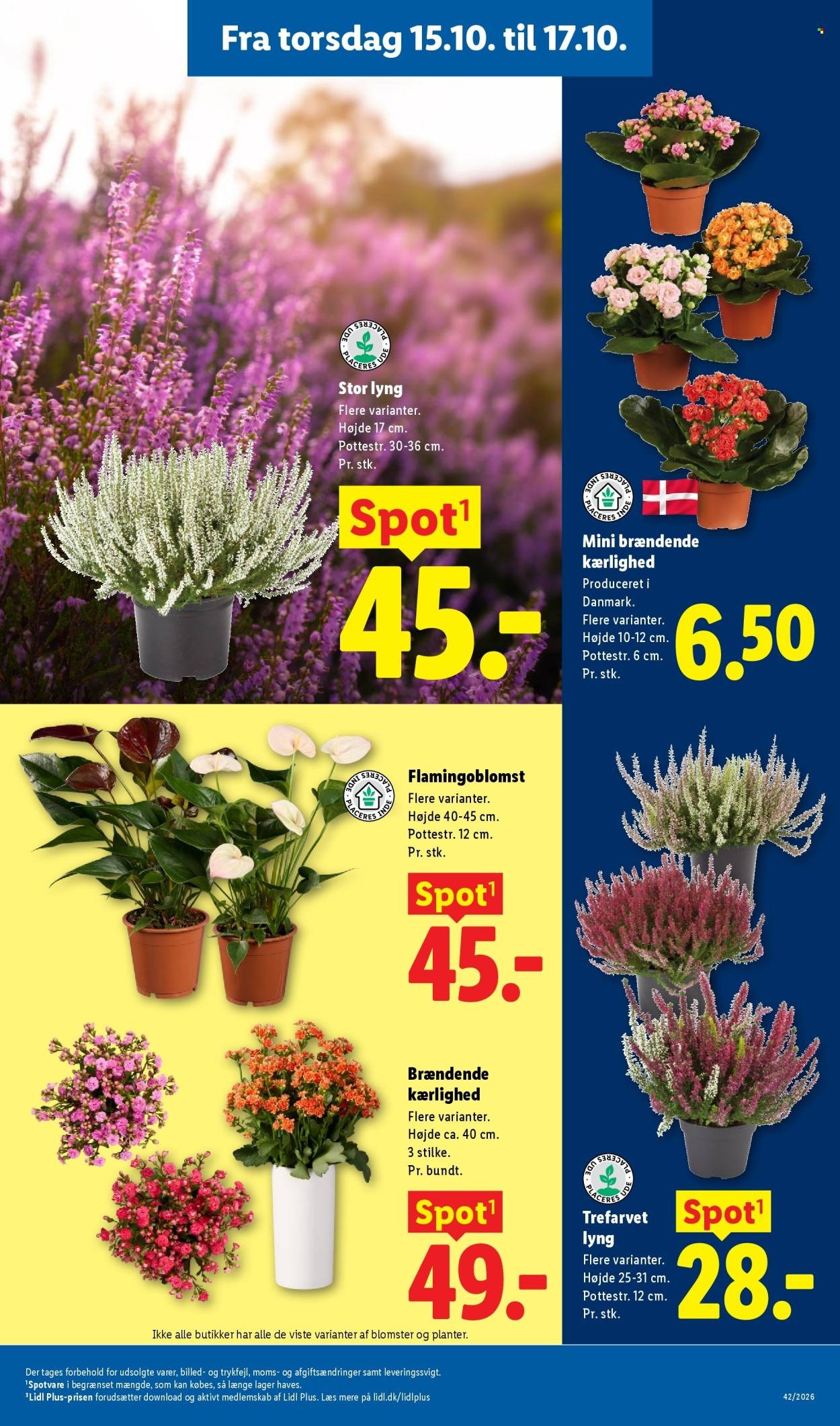 LIDL tilbudsavis - Fra søndag den 11. oktober 2026