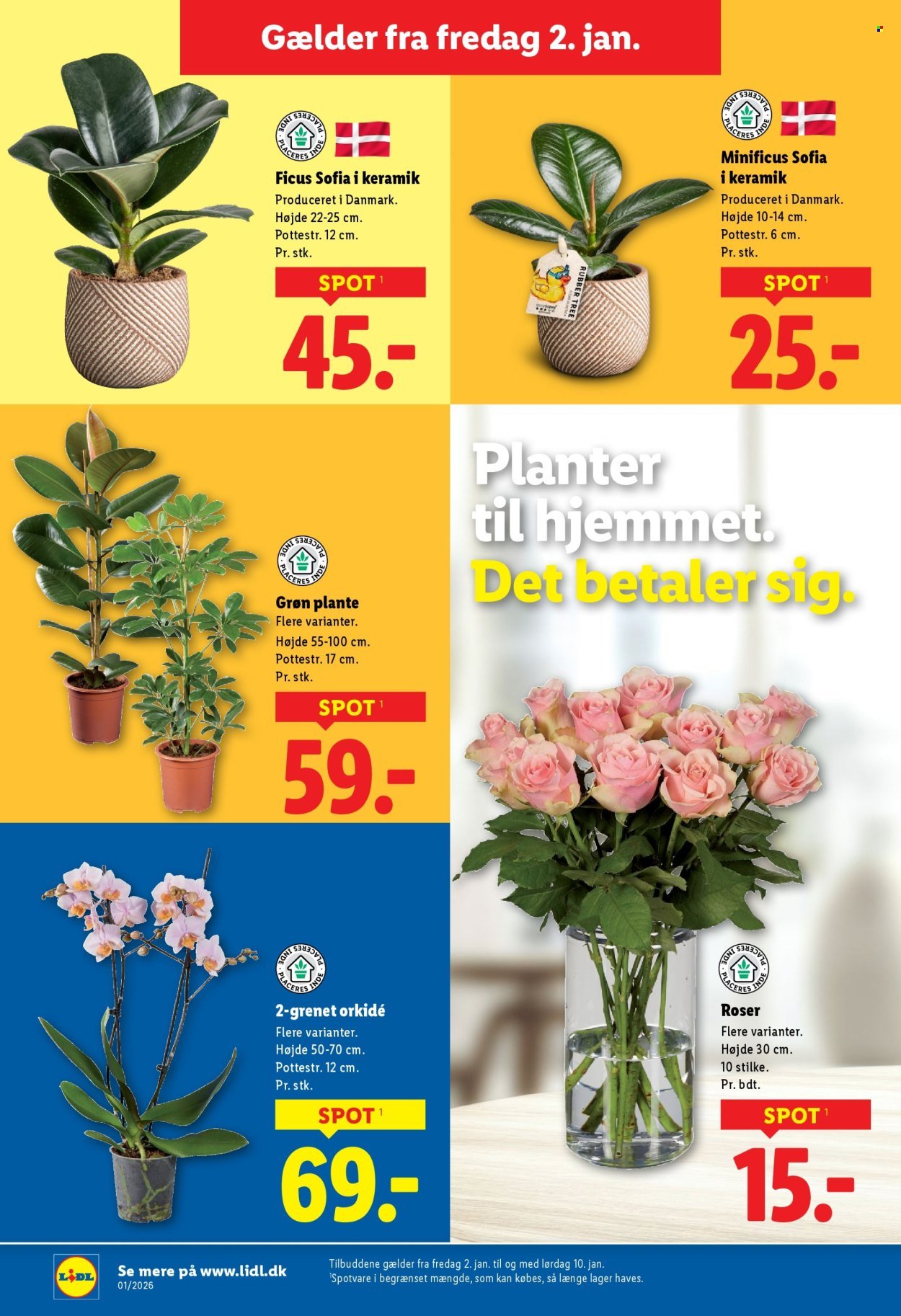 LIDL tilbudsavis - Fra fredag den 2. januar 2026 (2026-01-02 - 2026-01-10)