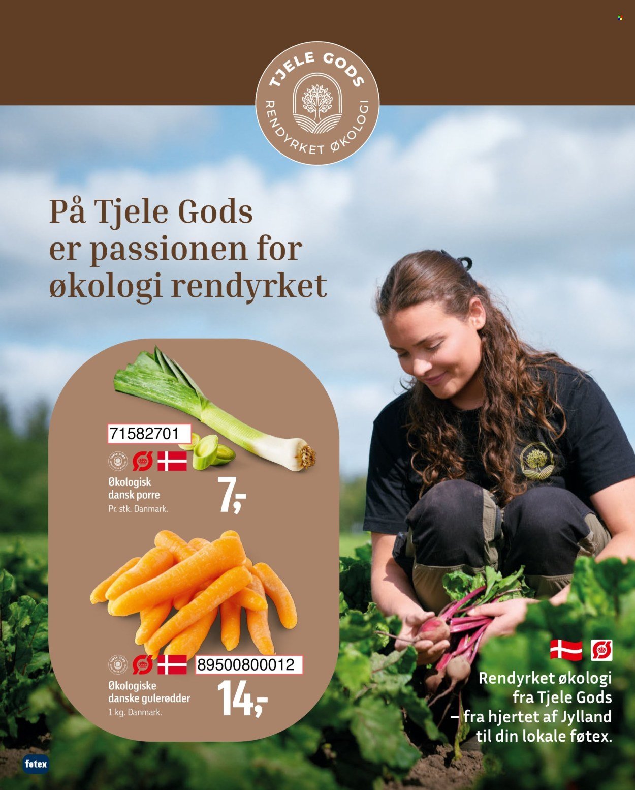 FØTEX tilbudsavis - Fra fredag den 2. januar 2026 (2026-01-02 - 2026-01-15)