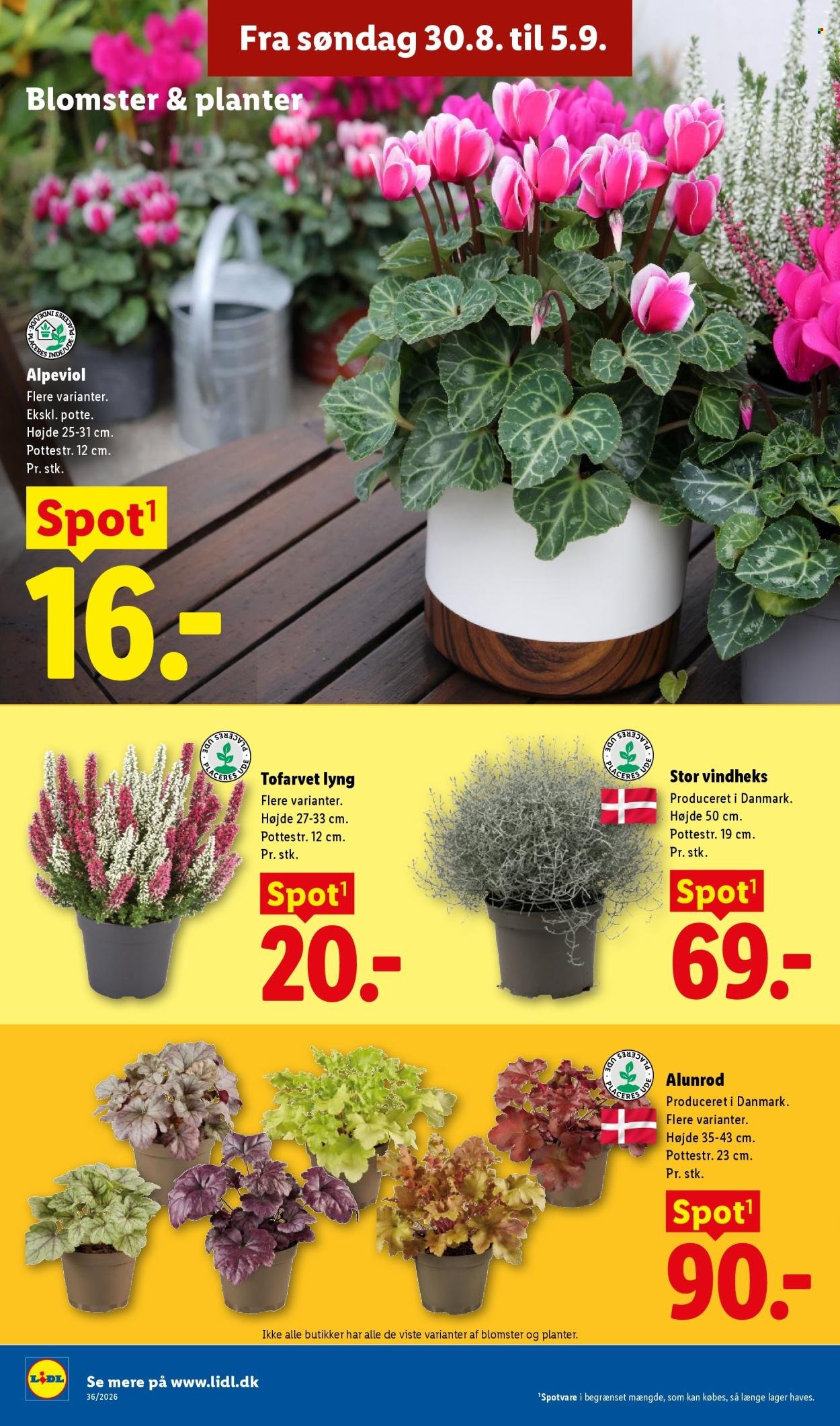 LIDL tilbudsavis - Fra søndag den 30. august 2026