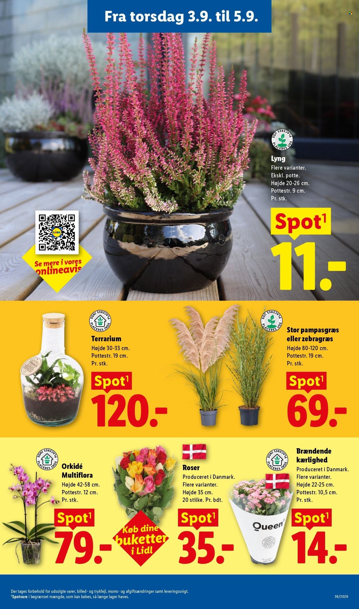 LIDL tilbudsavis - Fra søndag den 30. august 2026