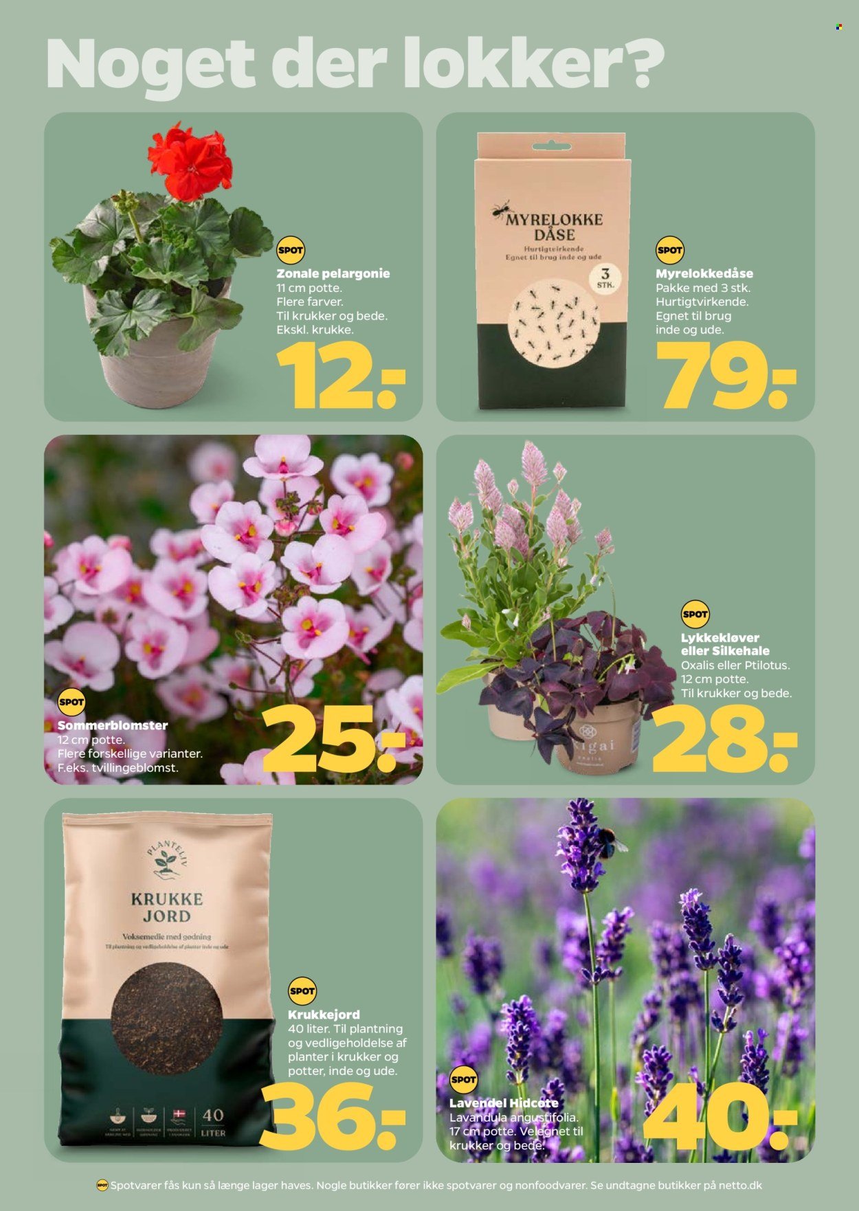 NETTO tilbudsavis - Fra lørdag den 16. maj 2026 (2026-05-16 - 2026-05-22)
