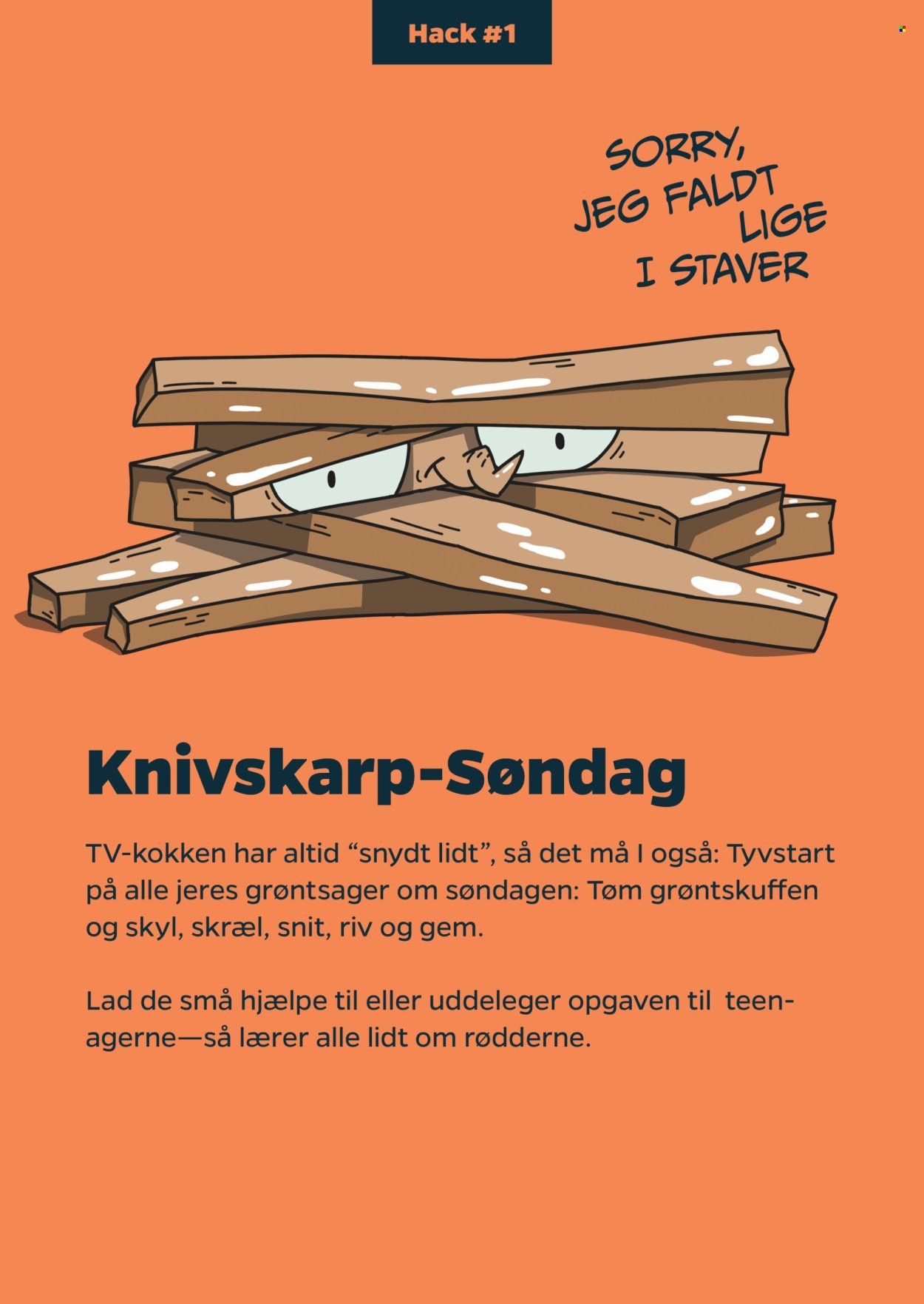 NETTO tilbudsavis - Fra tirsdag den 19. august 2025