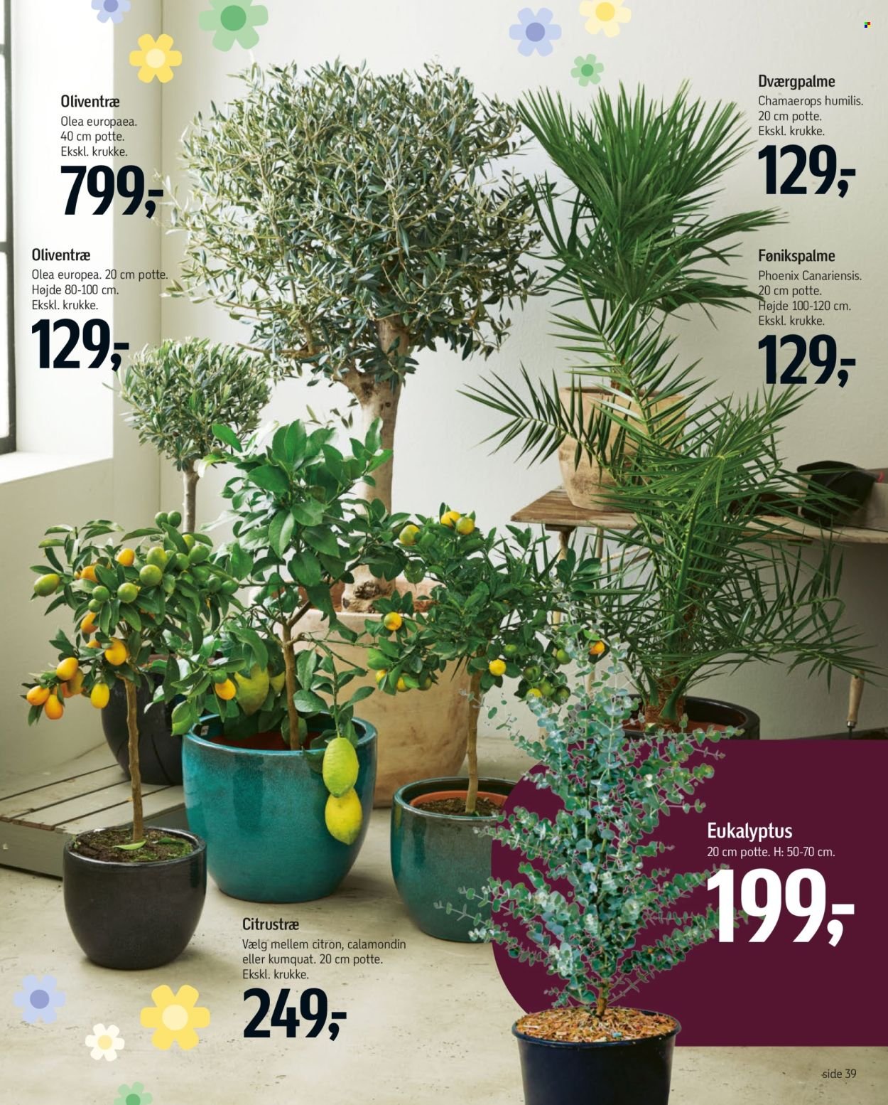 FØTEX tilbudsavis - Fra fredag den 20. marts 2026