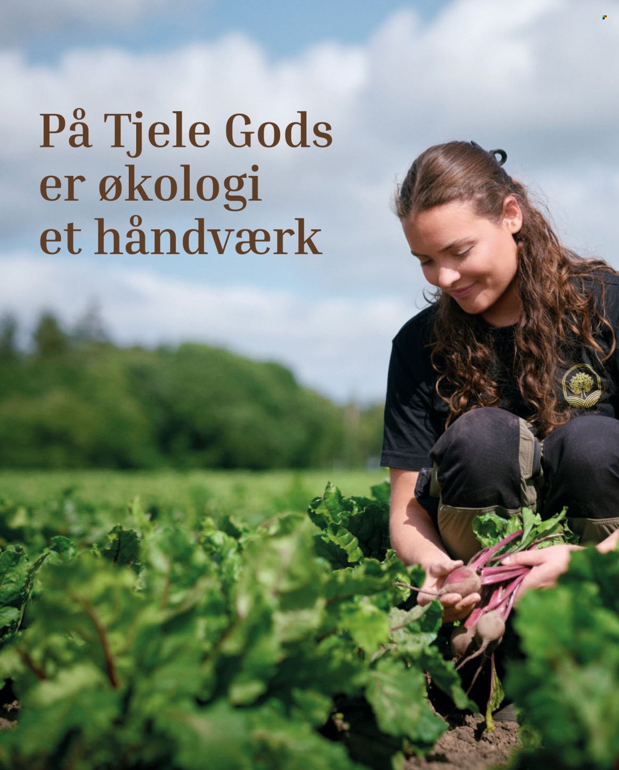 FØTEX tilbudsavis - Fra fredag den 17. oktober 2025 (2025-10-17 - 2025-10-30)