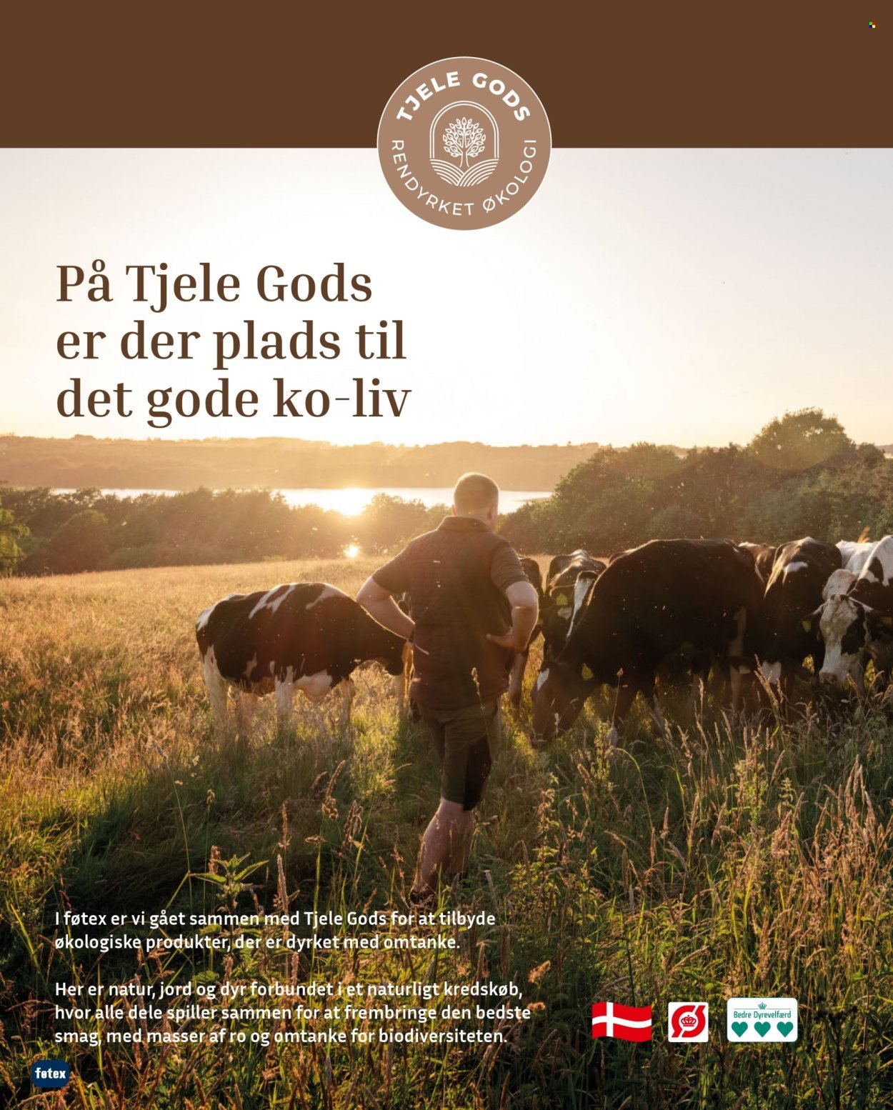 FØTEX tilbudsavis - Fra fredag den 17. oktober 2025 (2025-10-17 - 2025-10-30)