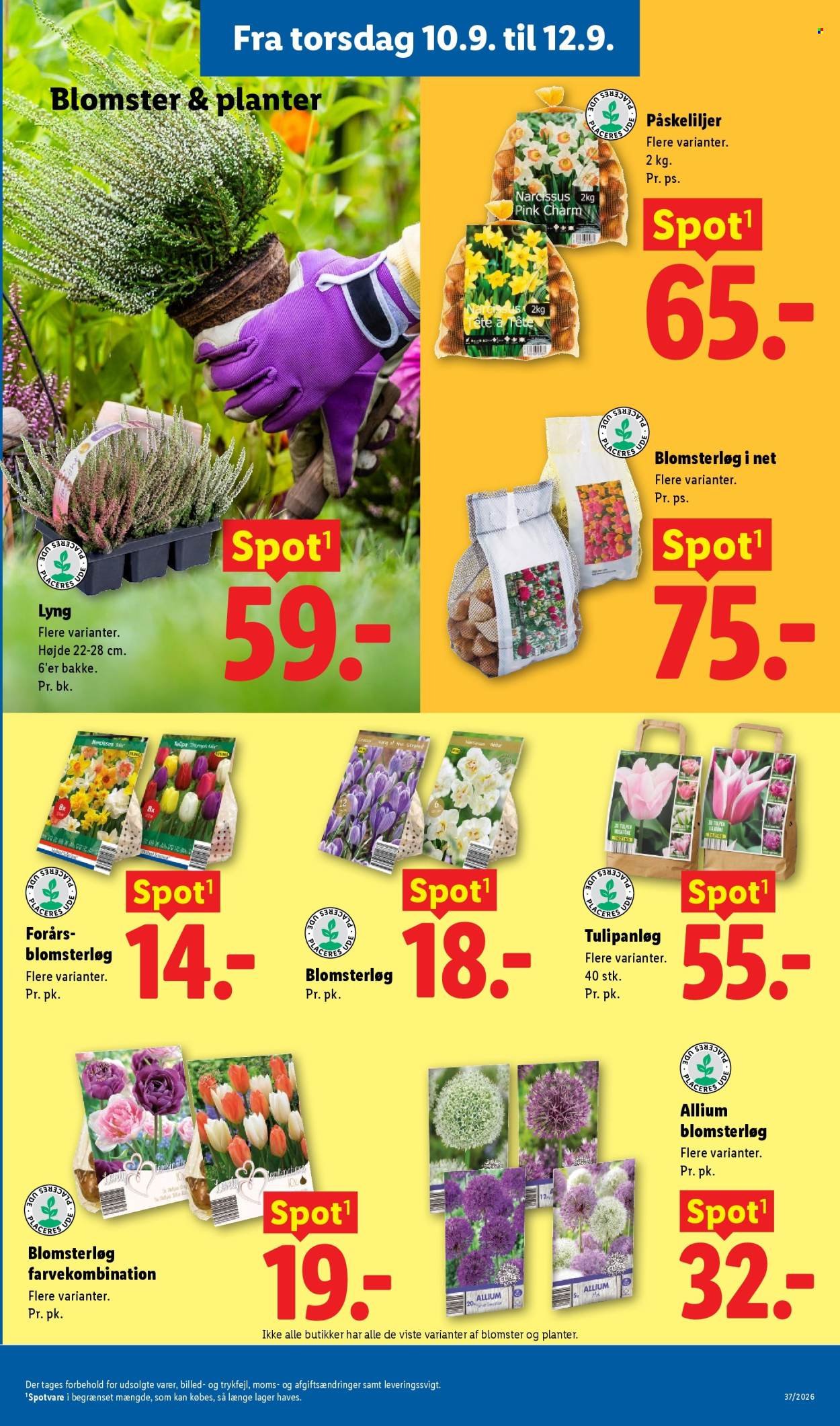 LIDL tilbudsavis - Fra søndag den 6. september 2026