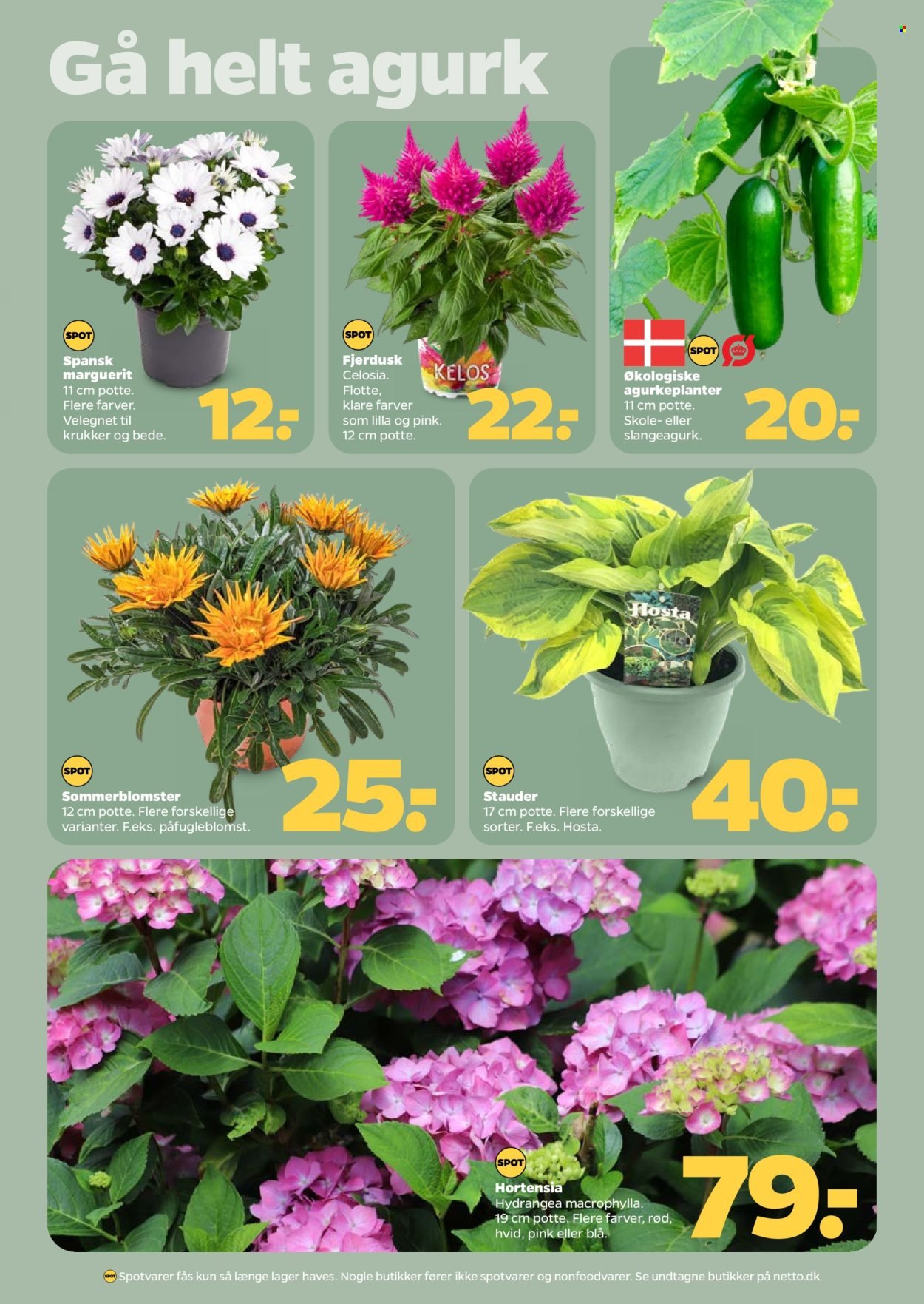 NETTO tilbudsavis - Fra lørdag den 9. maj 2026