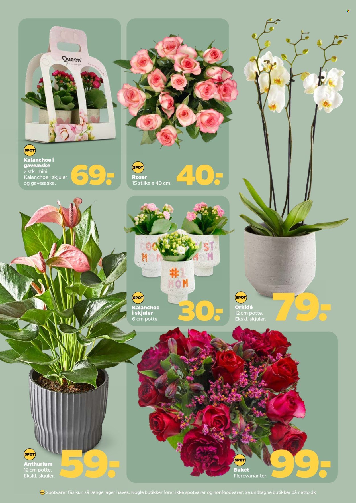 NETTO tilbudsavis - Fra lørdag den 9. maj 2026