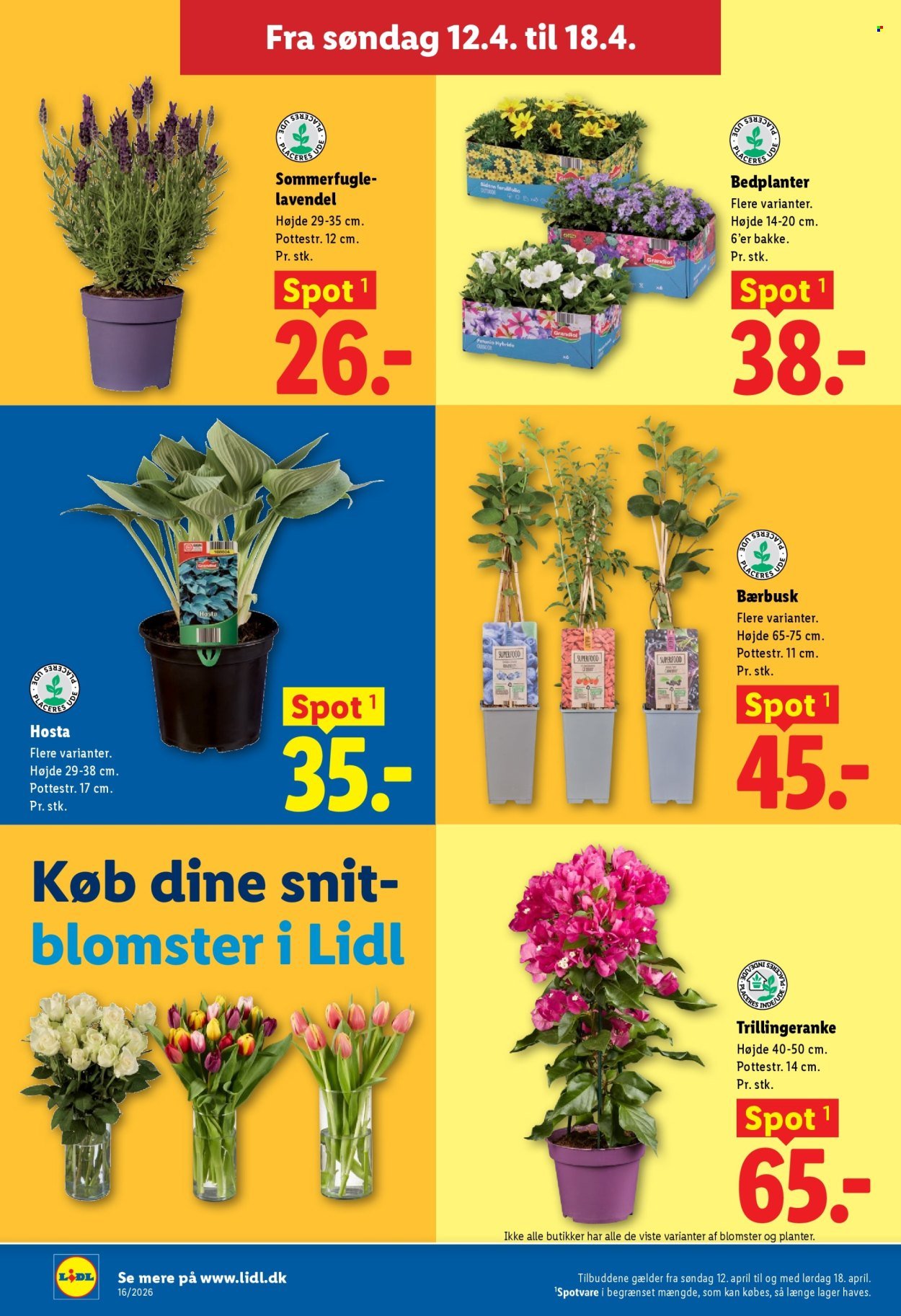 LIDL tilbudsavis - Fra søndag den 12. april 2026 (2026-04-12 - 2026-04-18)