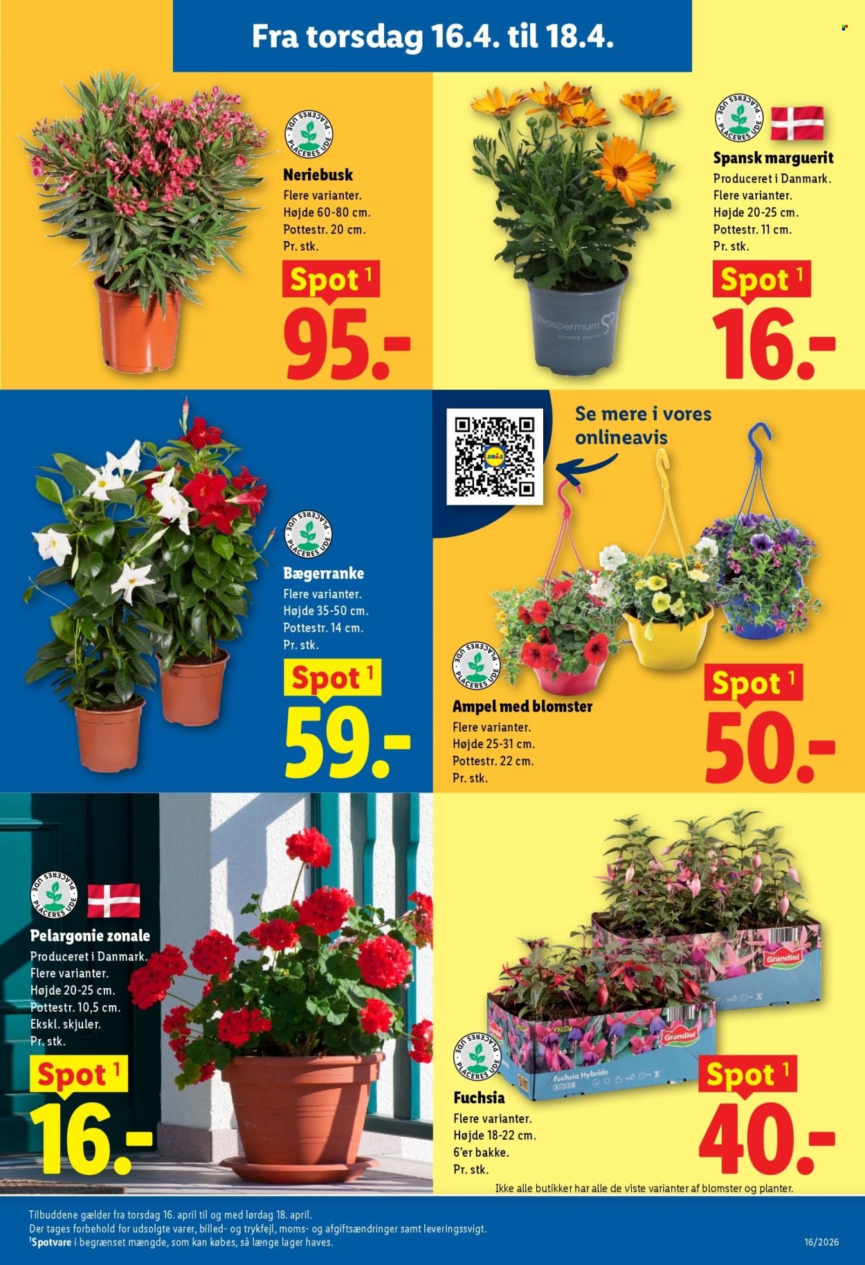 LIDL tilbudsavis - Fra søndag den 12. april 2026 (2026-04-12 - 2026-04-18)