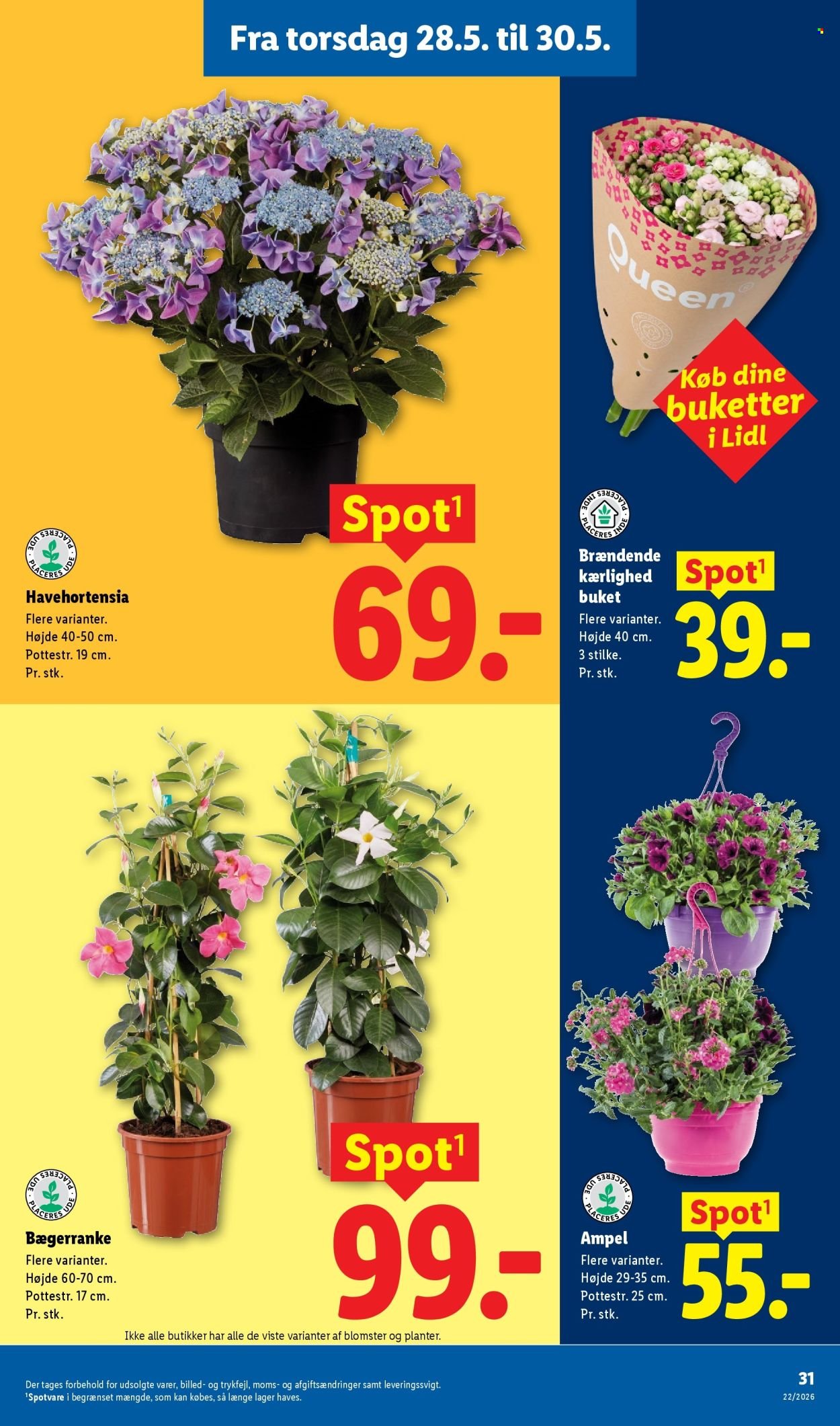 LIDL tilbudsavis - Fra tirsdag den 26. maj 2026