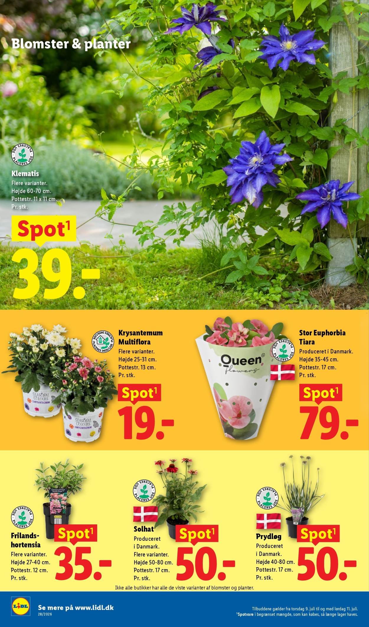 LIDL tilbudsavis - Fra søndag den 5. juli 2026