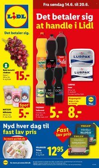 LIDL tilbudsavis - Fra søndag den 14. juni 2026