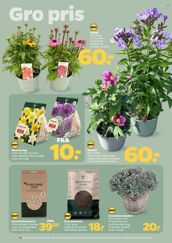 NETTO tilbudsavis - Fra lørdag den 15. august 2026