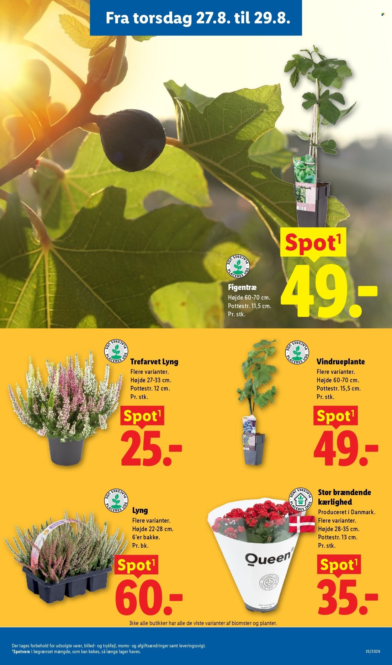 LIDL tilbudsavis - Fra søndag den 23. august 2026