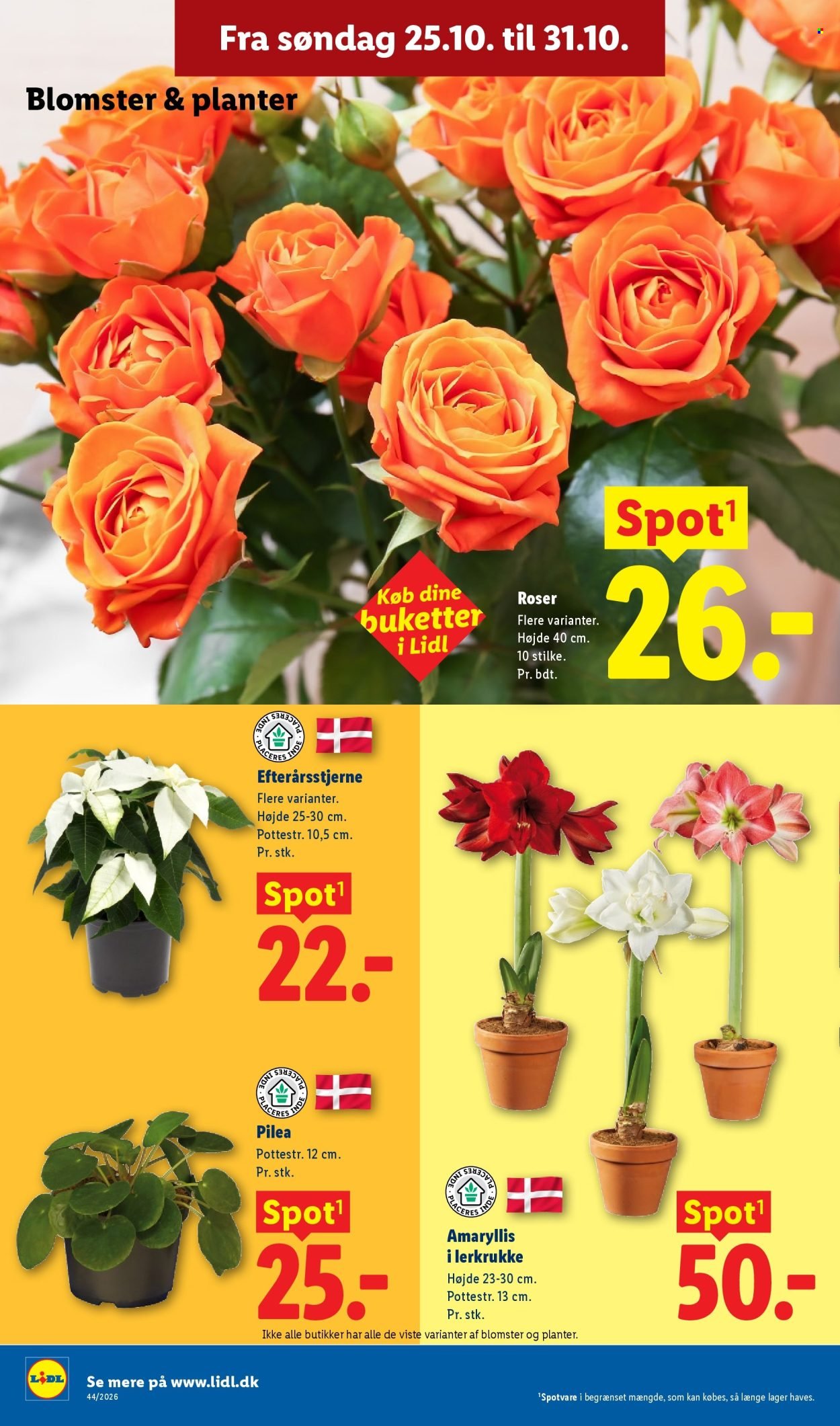 LIDL tilbudsavis - Fra søndag den 25. oktober 2026