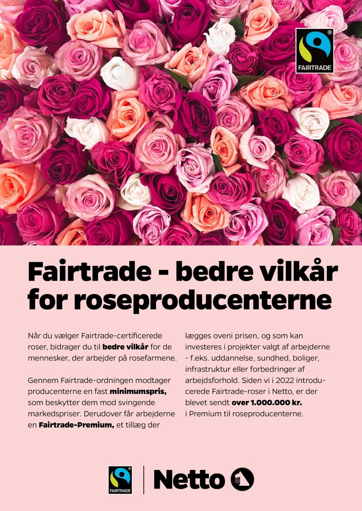 NETTO tilbudsavis - Fra lørdag den 7. februar 2026