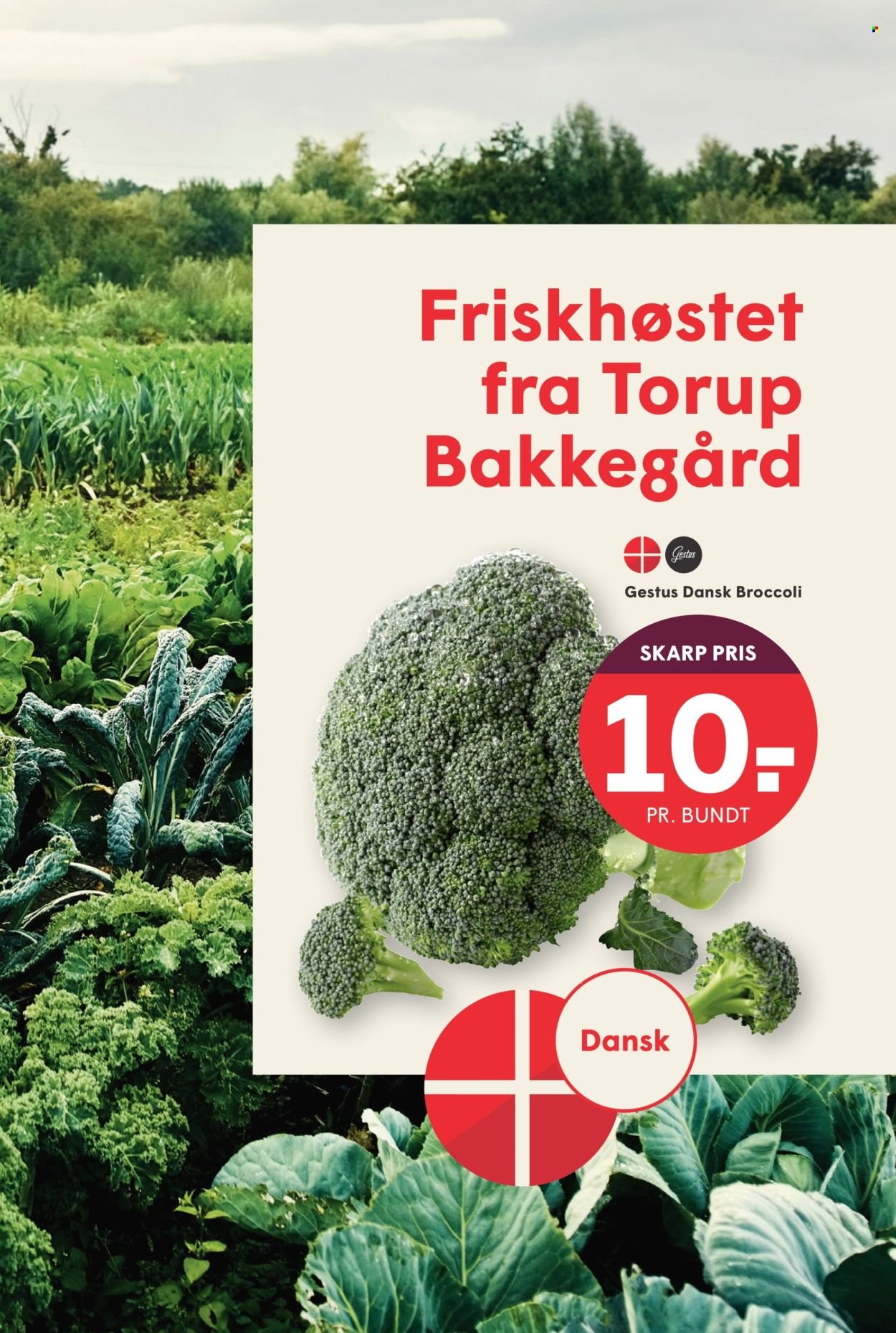 SPAR tilbudsavis - Fra fredag den 29. august 2025 (2025-08-29 - 2025-09-04)