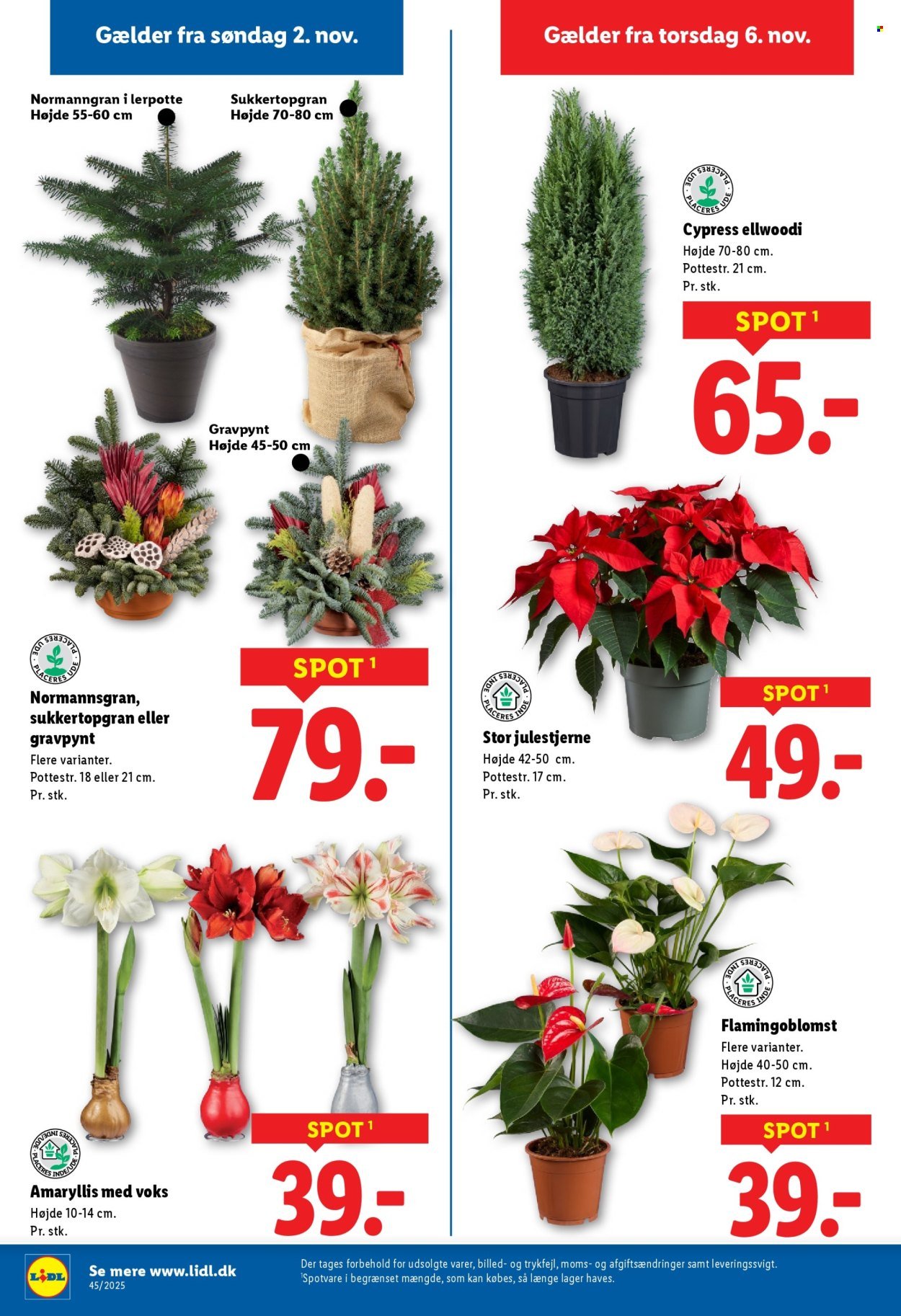 LIDL tilbudsavis - Et valg, der betaler sig. (2025-11-02 - 2025-11-08)