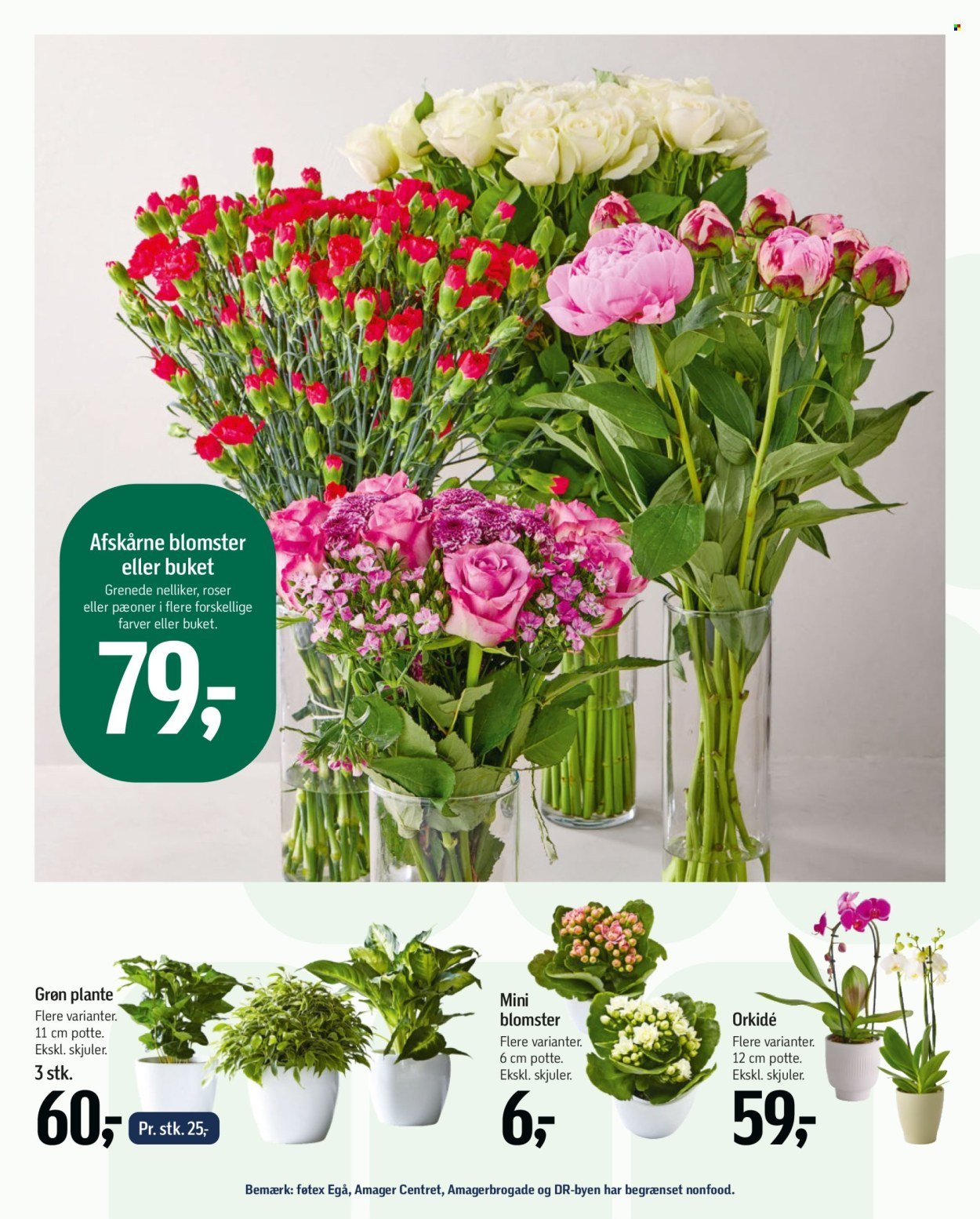 FØTEX tilbudsavis - Fra fredag den 12. juni 2026