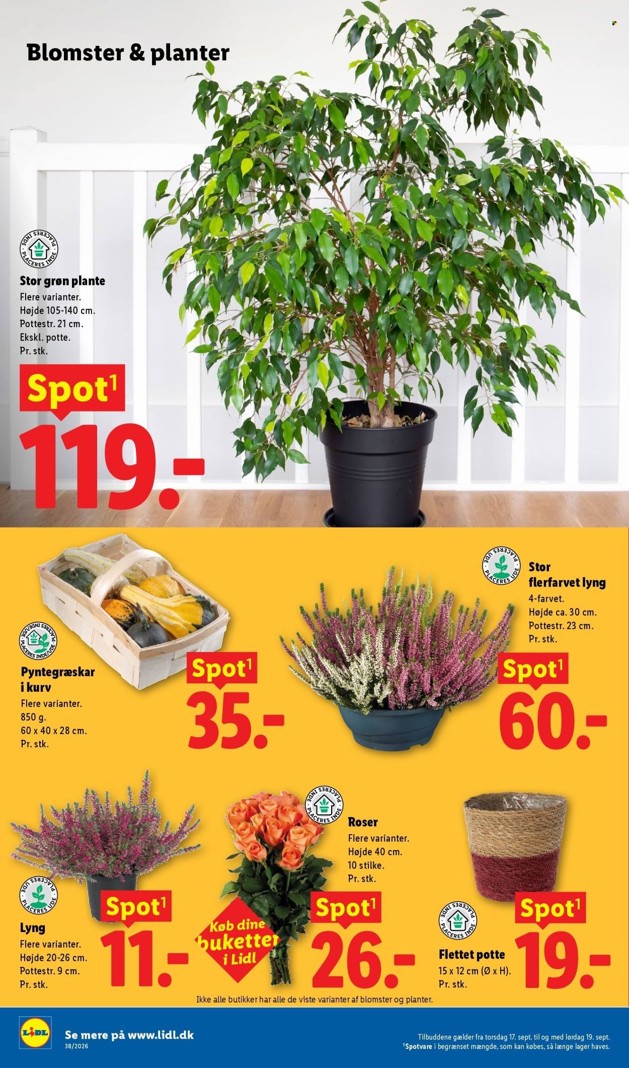 LIDL tilbudsavis - Fra søndag den 13. september 2026