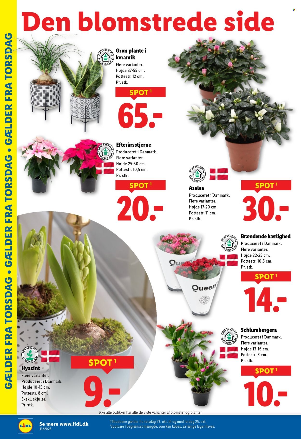 LIDL tilbudsavis - Fra søndag den 19. oktober 2025 (2025-10-19 - 2025-10-25)