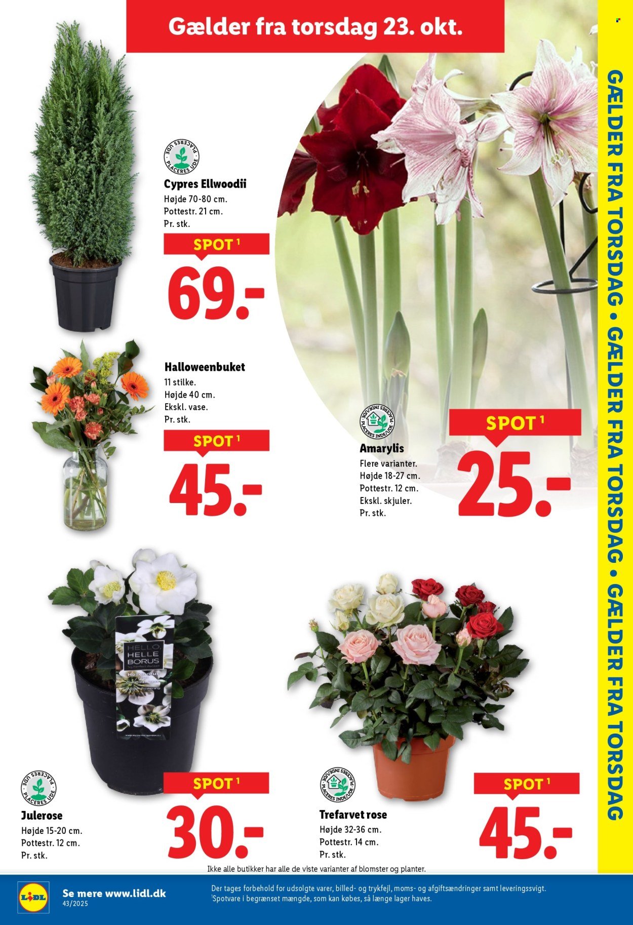 LIDL tilbudsavis - Fra søndag den 19. oktober 2025 (2025-10-19 - 2025-10-25)