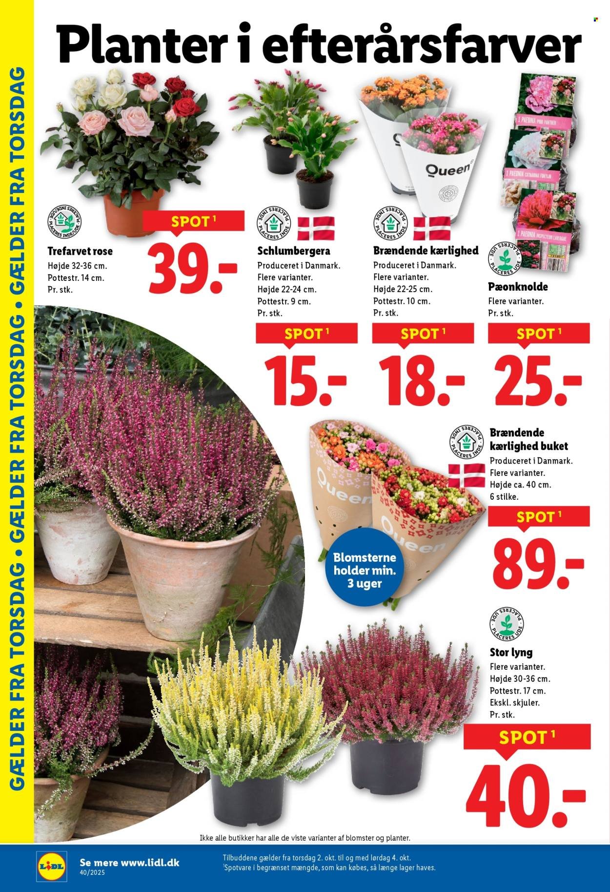 LIDL tilbudsavis - Fra søndag den 28. september 2025 (2025-09-28 - 2025-10-04)