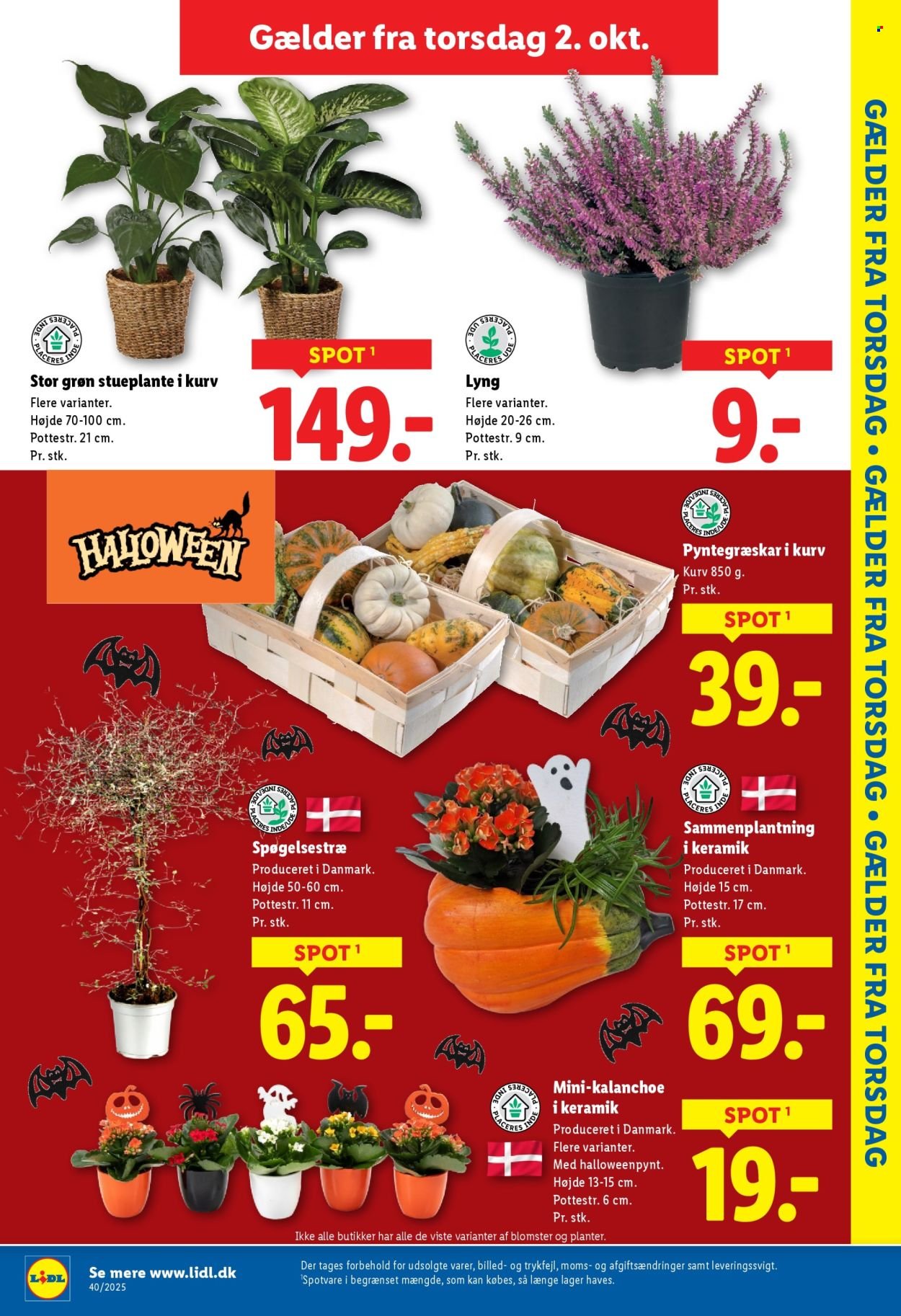 LIDL tilbudsavis - Fra søndag den 28. september 2025 (2025-09-28 - 2025-10-04)