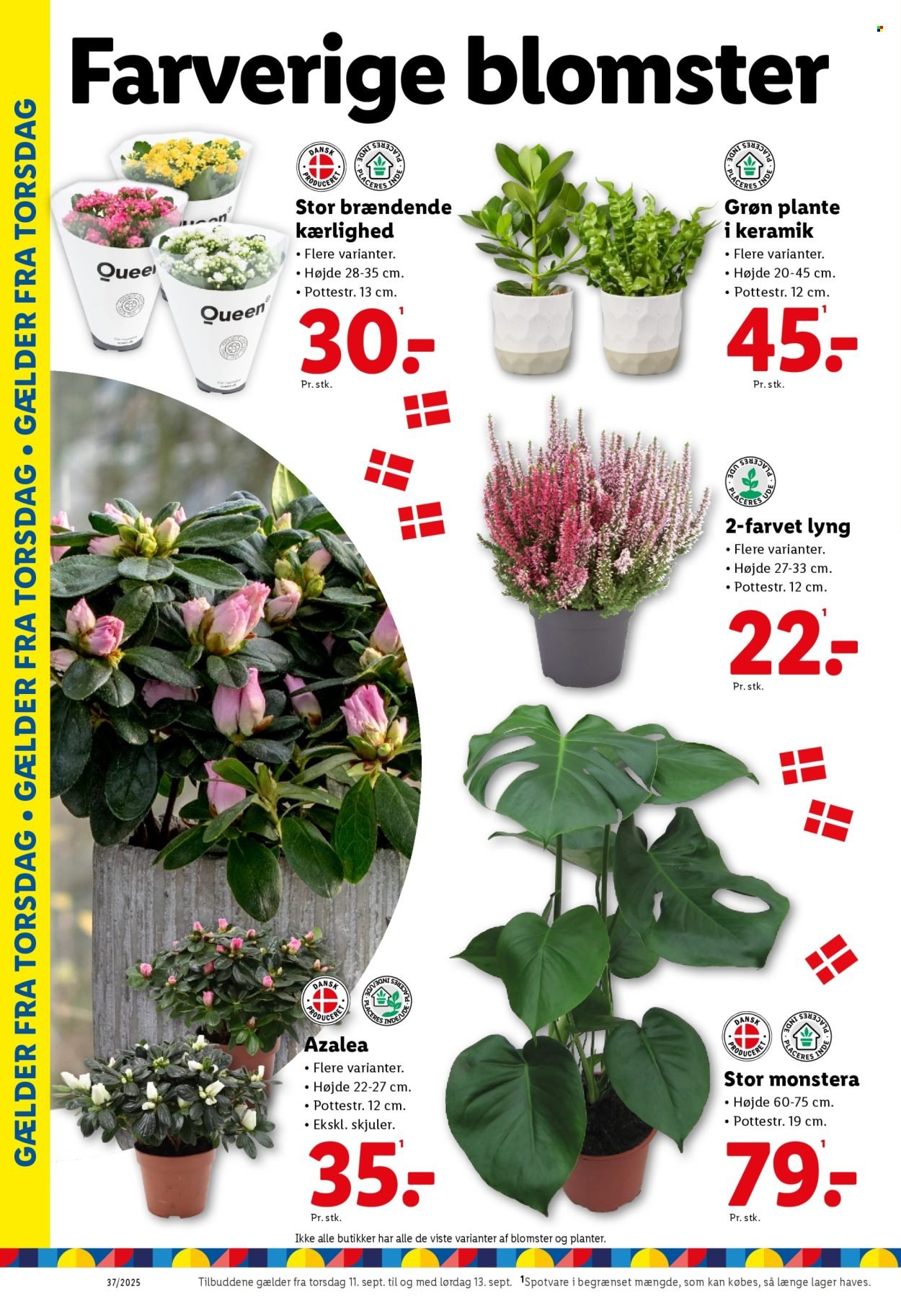 LIDL tilbudsavis - Fra søndag den 7. september 2025 (2025-09-07 - 2025-09-13)