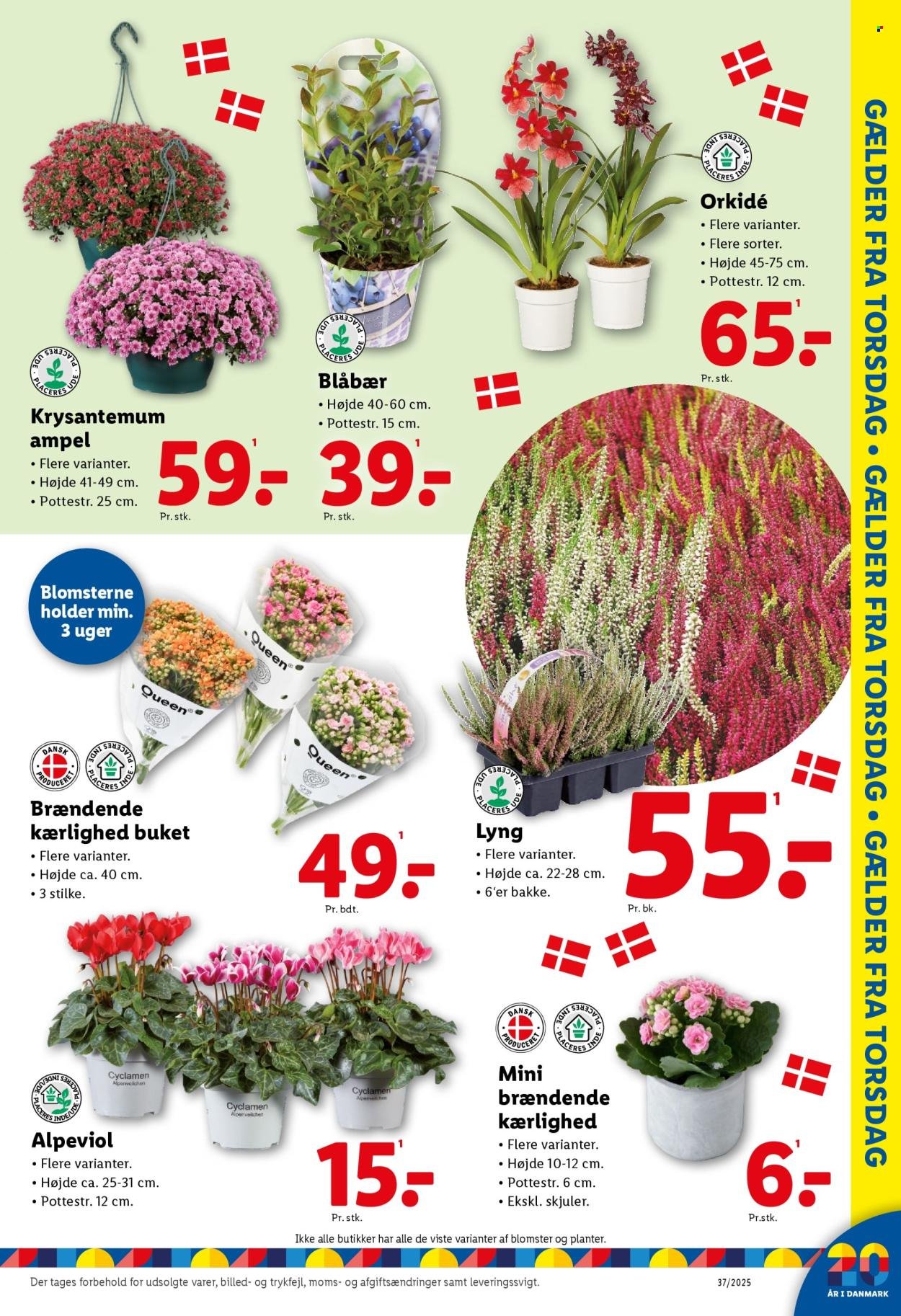 LIDL tilbudsavis - Fra søndag den 7. september 2025 (2025-09-07 - 2025-09-13)