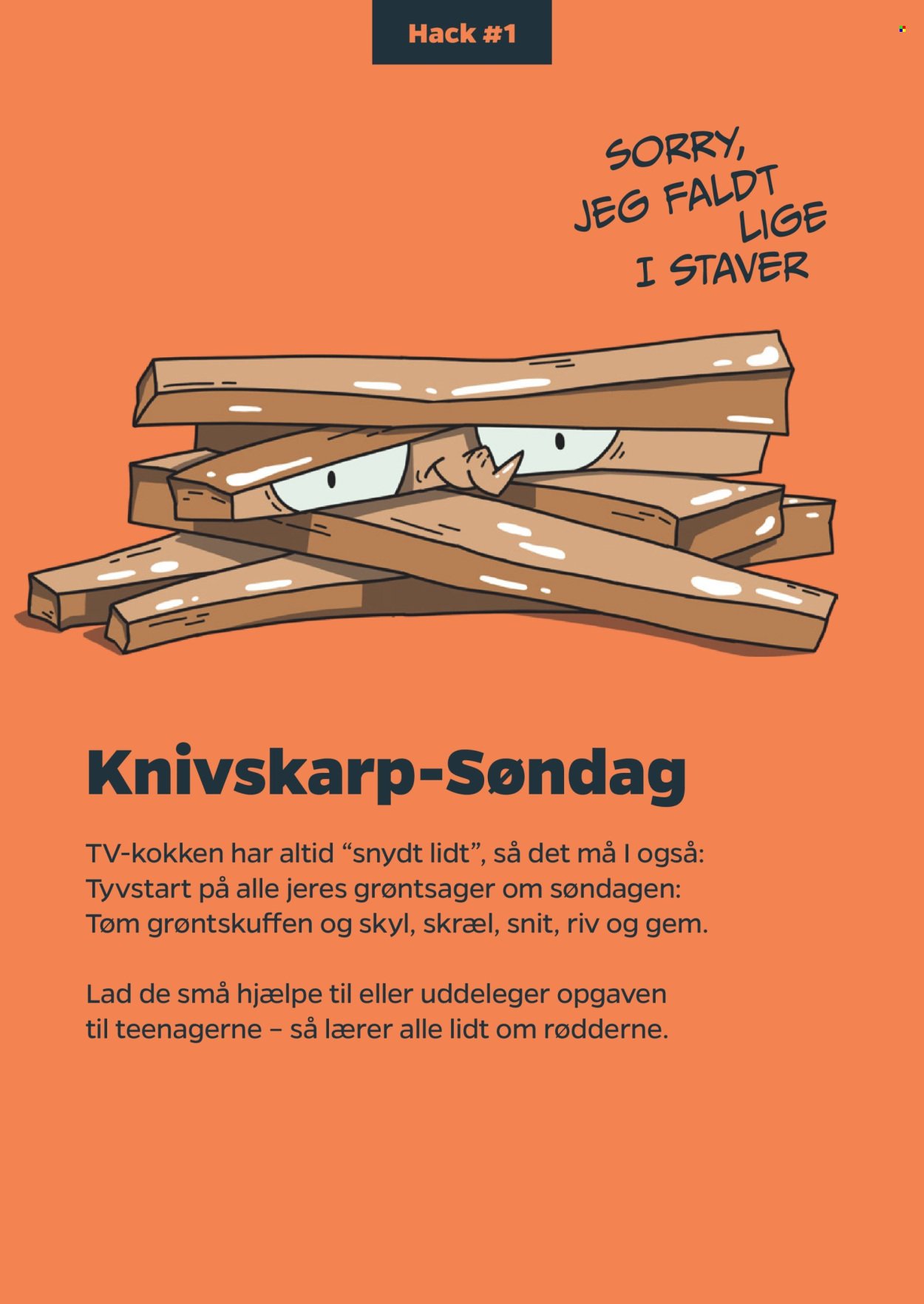 NETTO tilbudsavis - Fra tirsdag den 17. februar 2026