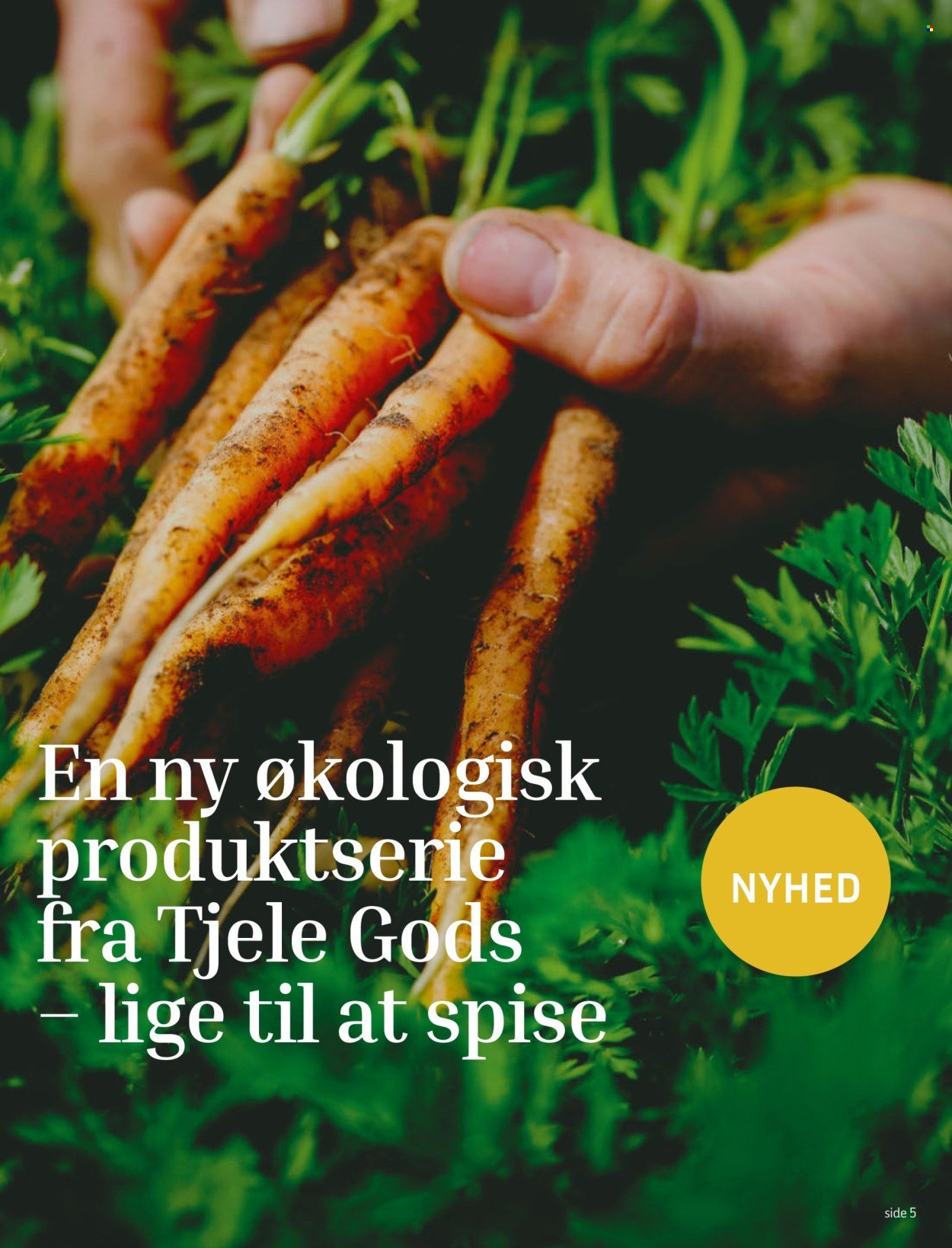 FØTEX tilbudsavis - Fra fredag den 29. august 2025 (2025-08-29 - 2025-09-11)