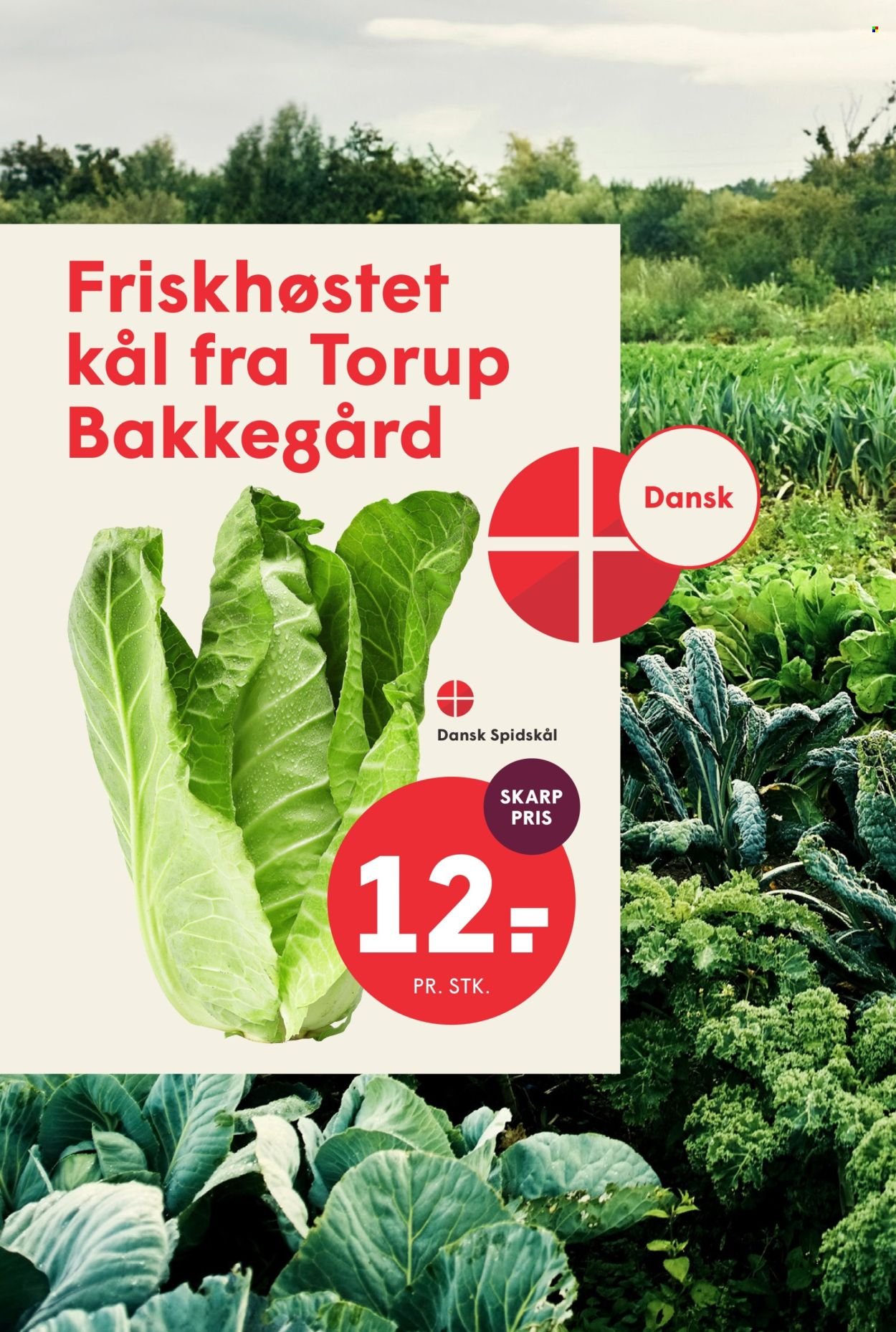 SPAR tilbudsavis - Fra fredag den 7. august 2026